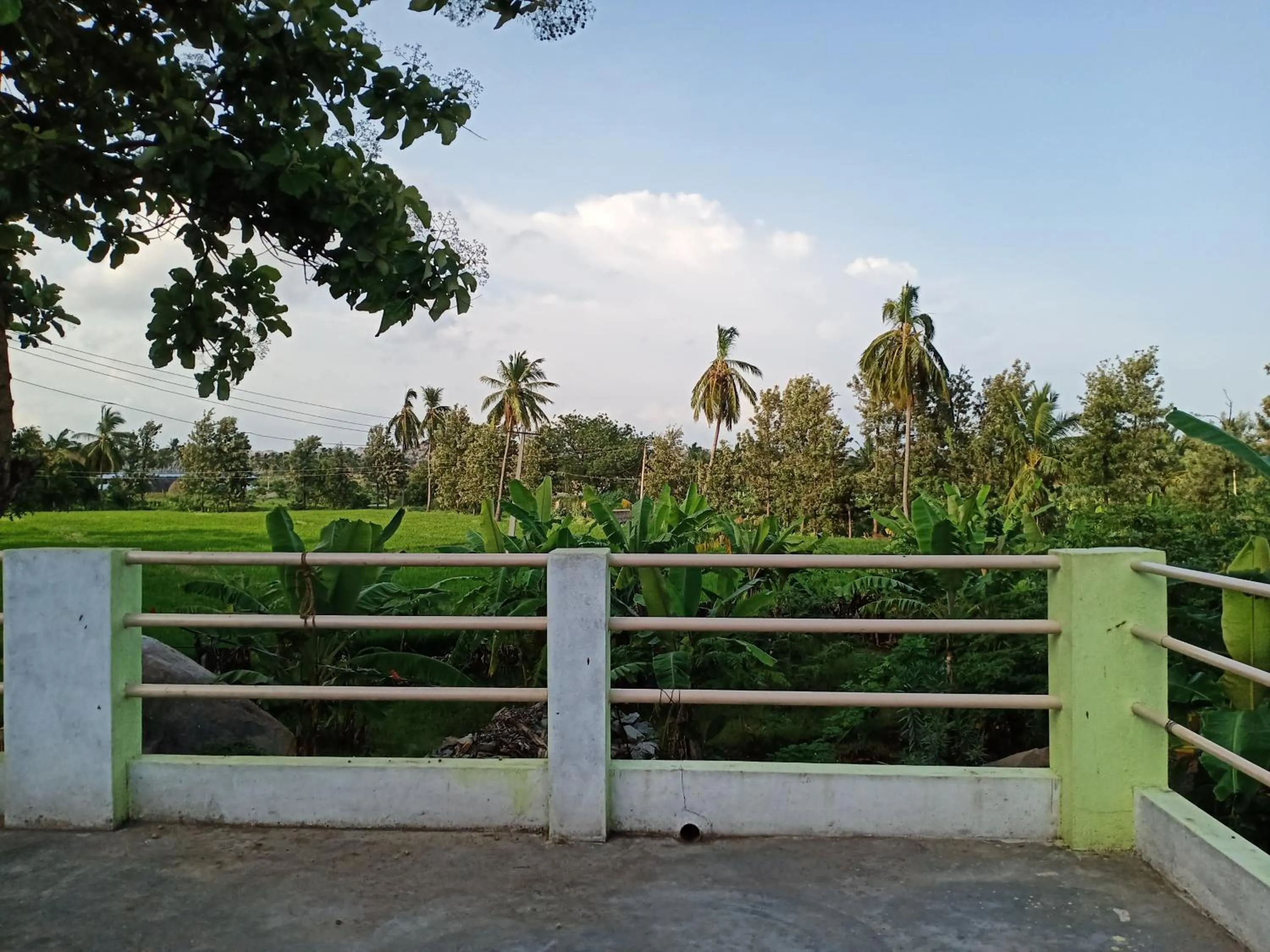 Gopi Plantation Homestay