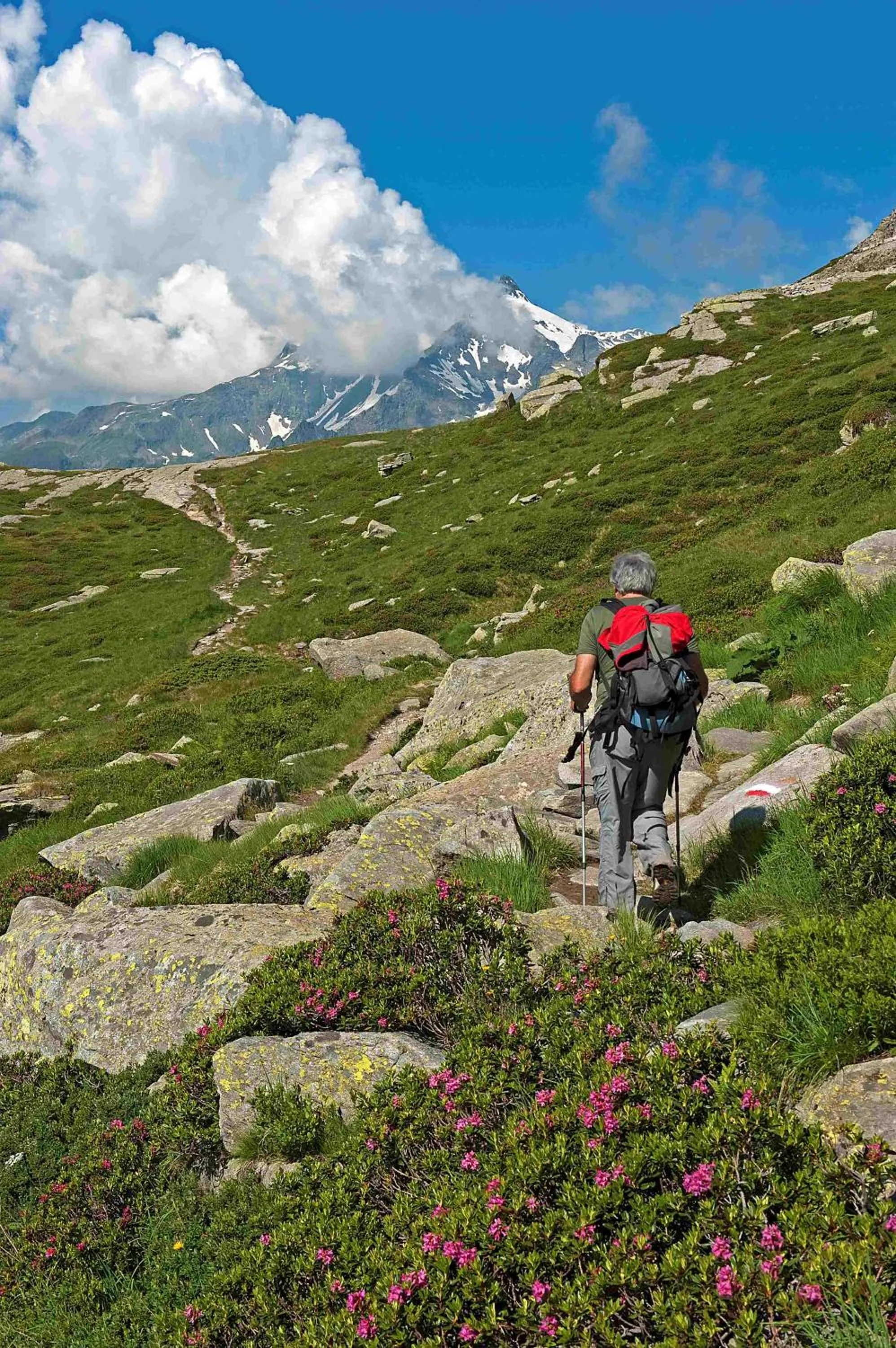 Natural landscape in Hotel Arlecchino - Dada Hotels