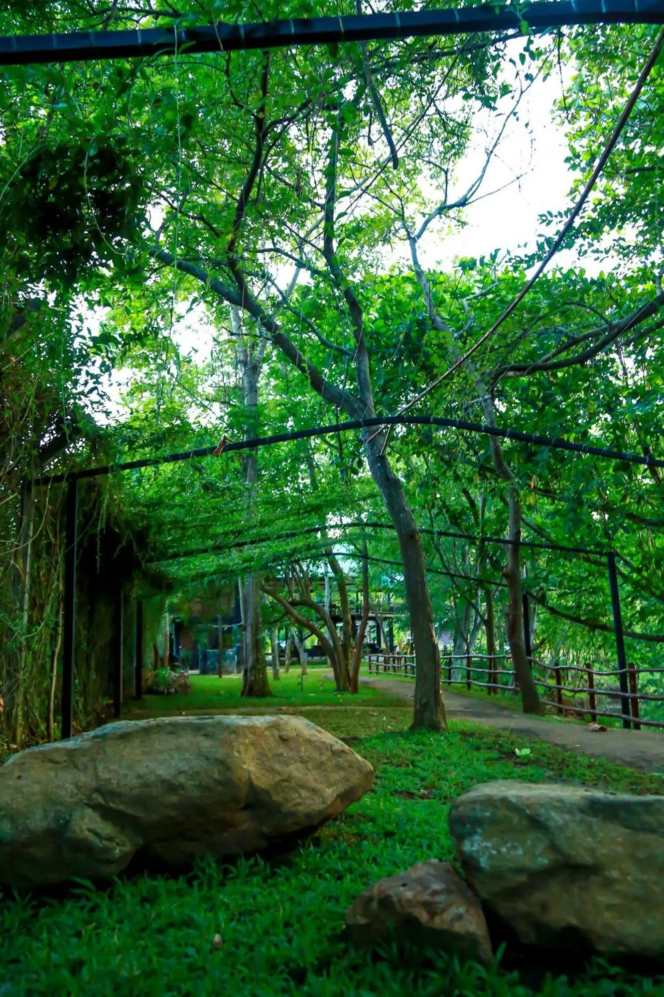 Natural landscape in Doola River Edge