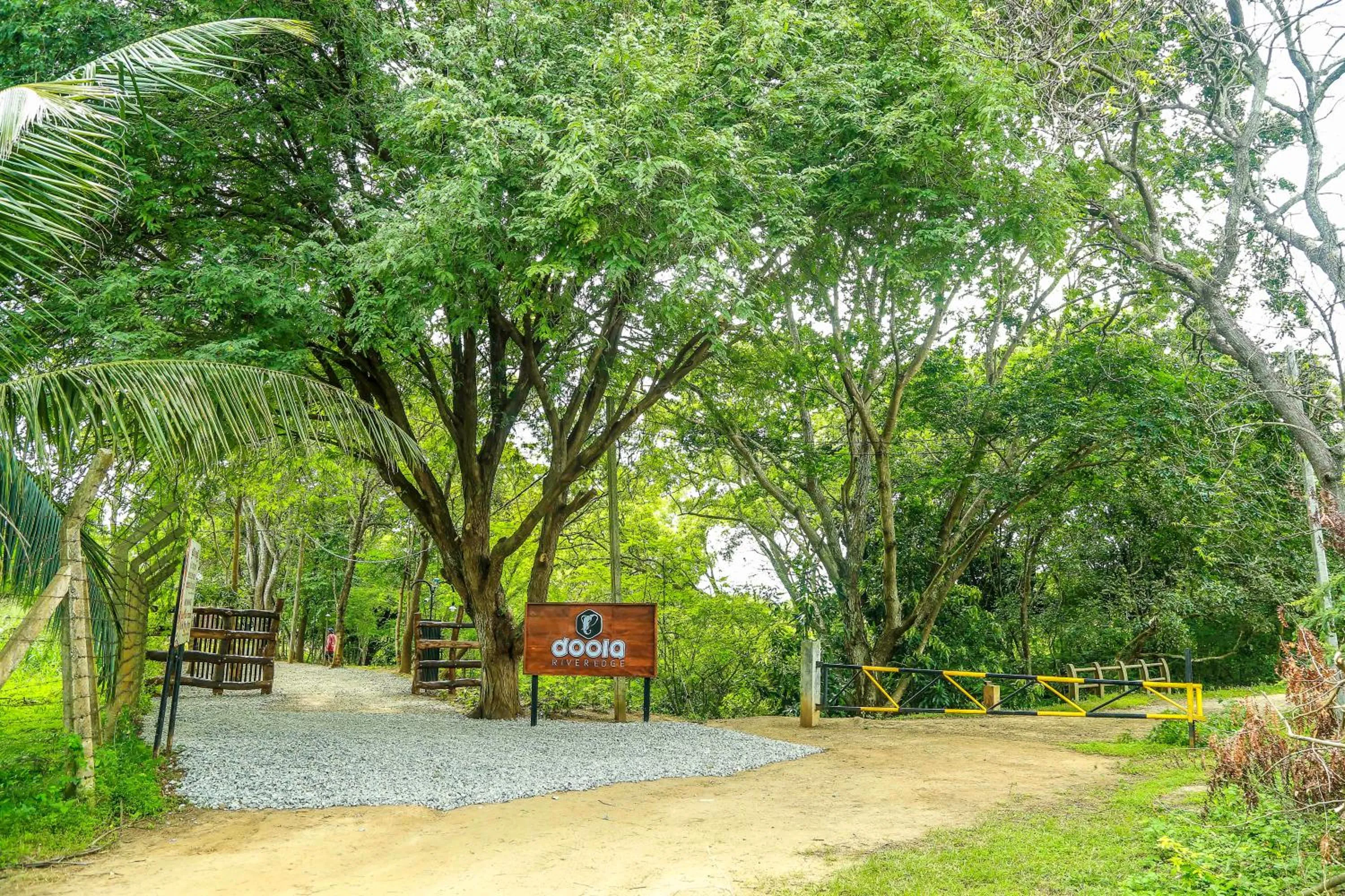 Natural landscape in Doola River Edge