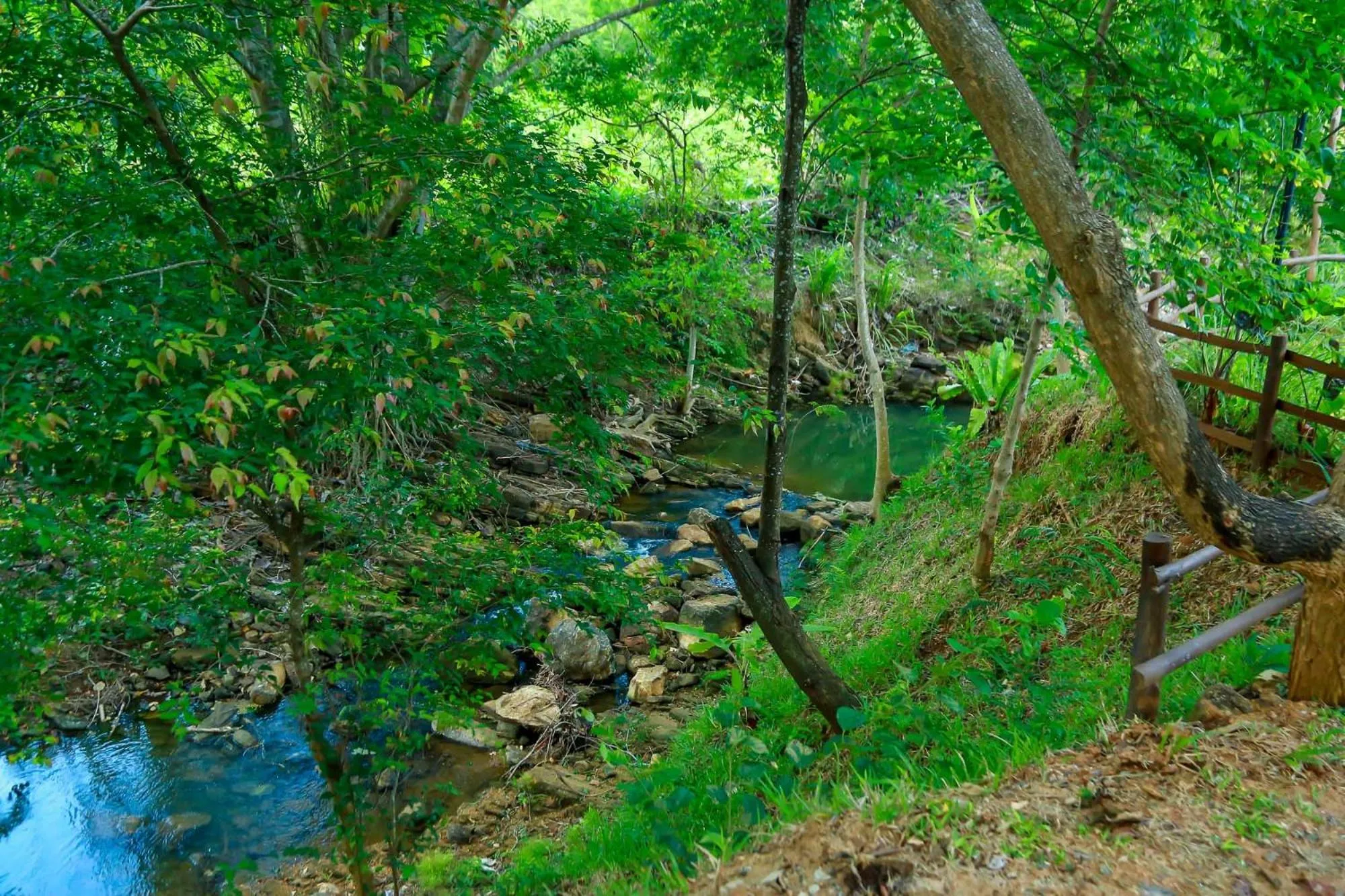 Nearby landmark in Doola River Edge