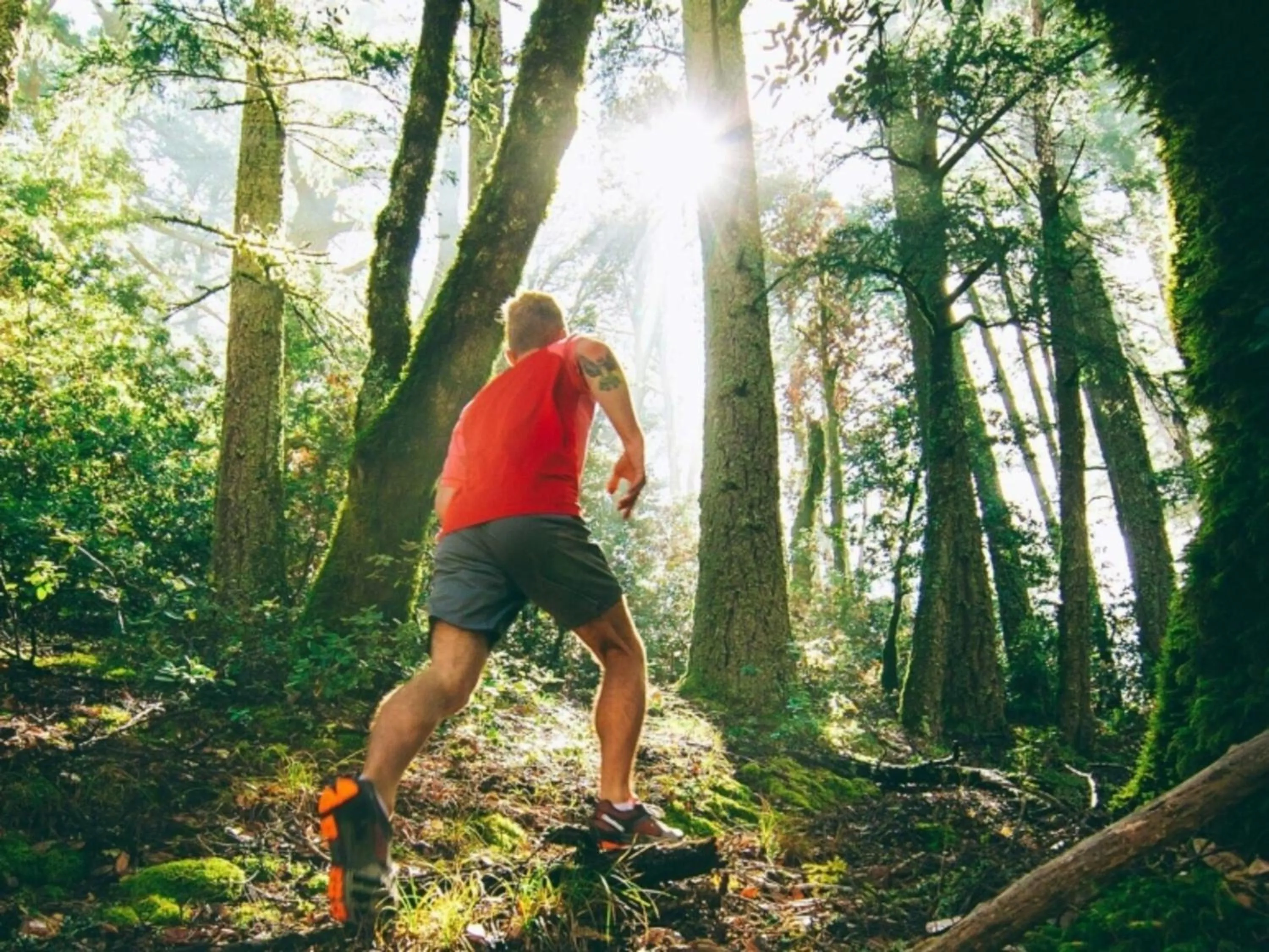 Sports in Claremont Resort & Club