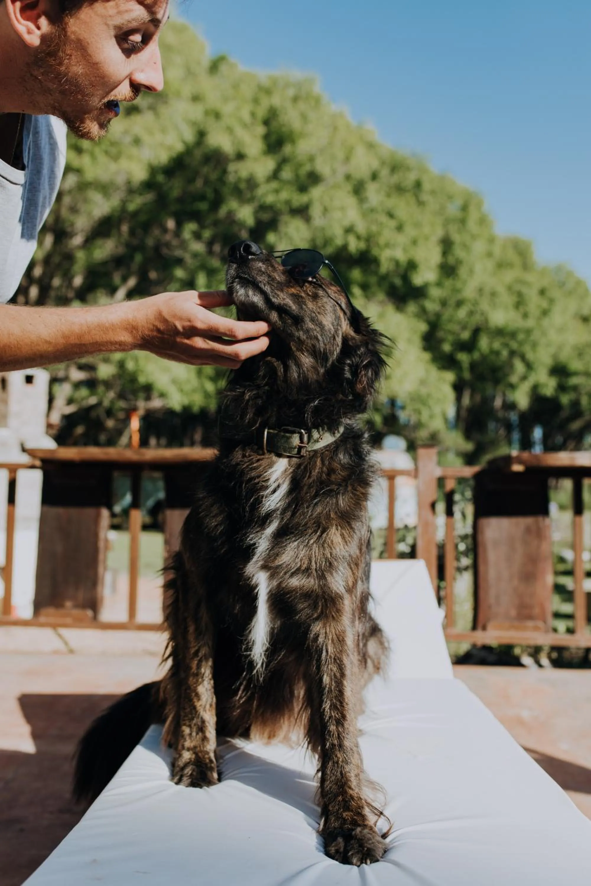 pet friendly in Cabañas en el Bosque a 5 minutos del mar - Estancia CH