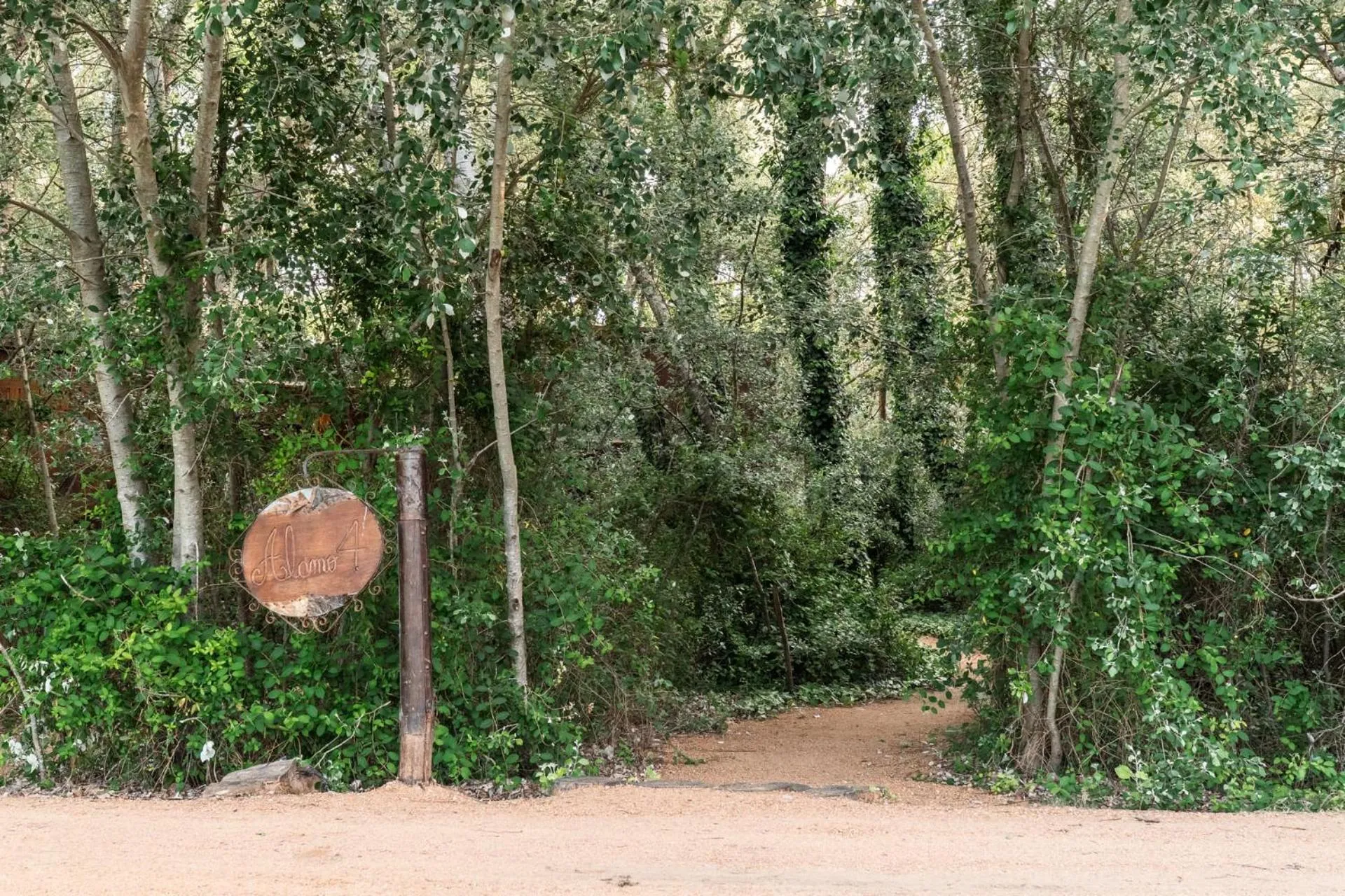 Natural landscape in Cabañas en el Bosque a 5 minutos del mar - Estancia CH