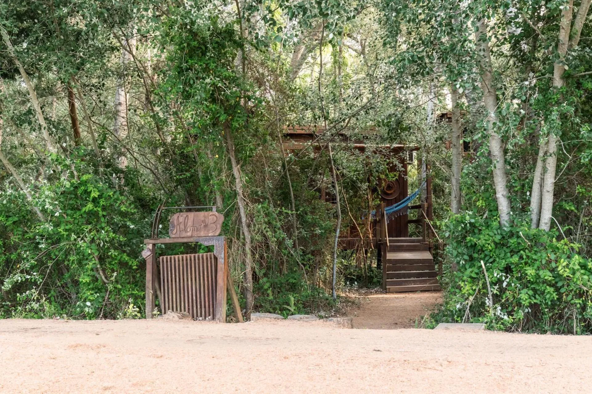 Natural landscape in Cabañas en el Bosque a 5 minutos del mar - Estancia CH