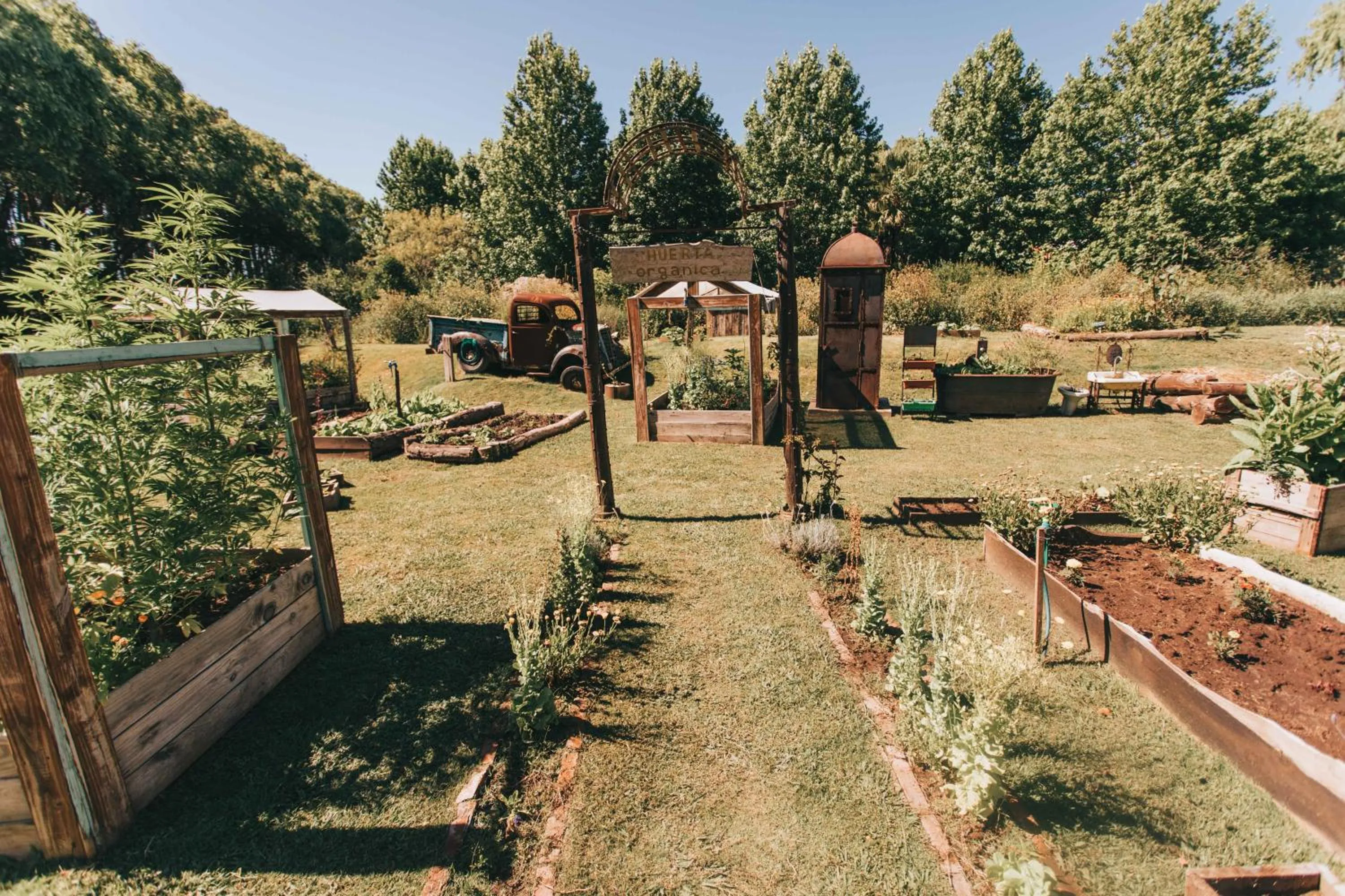 Garden view in Cabañas en el Bosque a 5 minutos del mar - Estancia CH