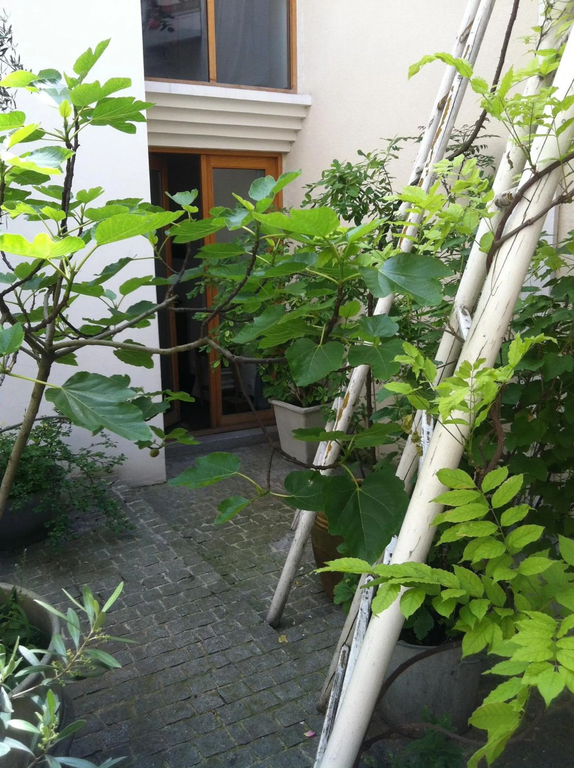 Patio in Chambre d'Hôtes Annelets