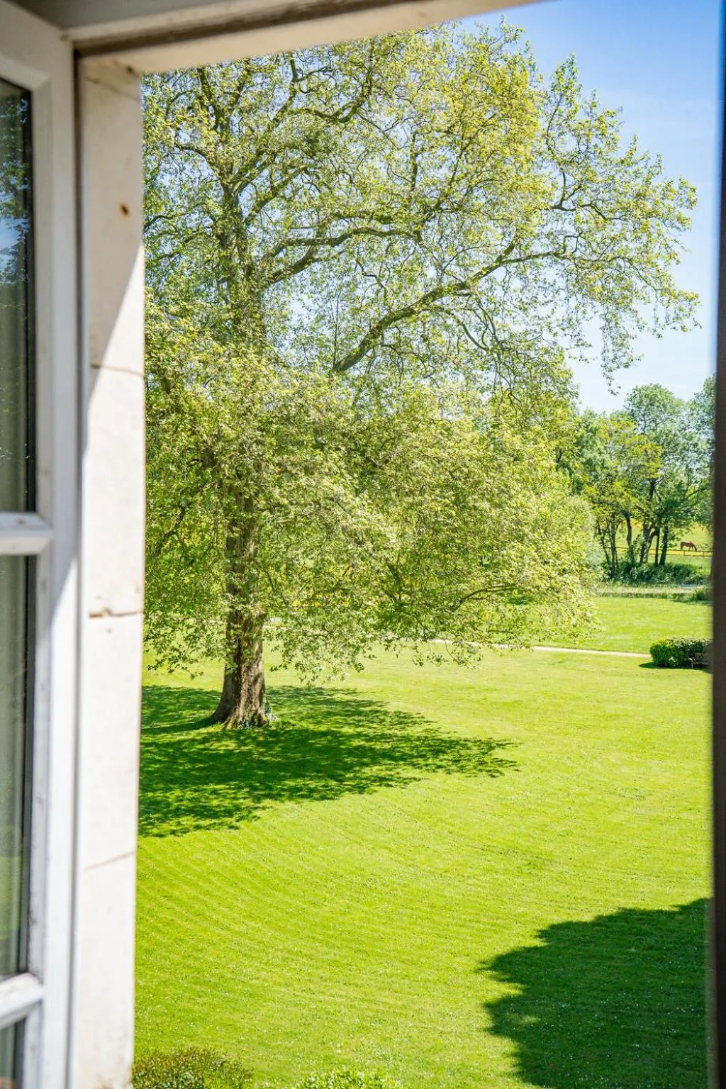 Garden view in Hotel Haras De La Potardiere