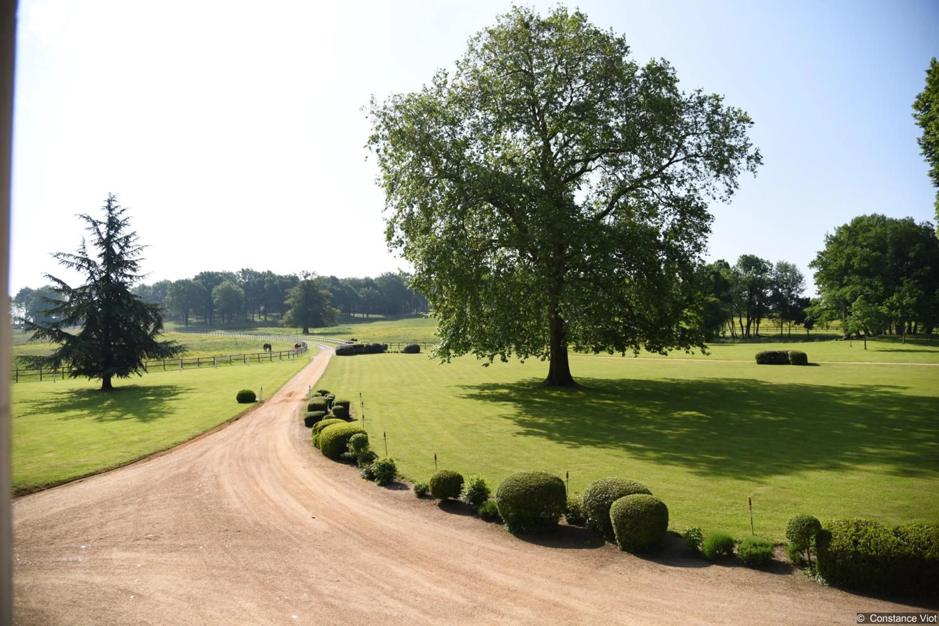 Garden in Hotel Haras De La Potardiere