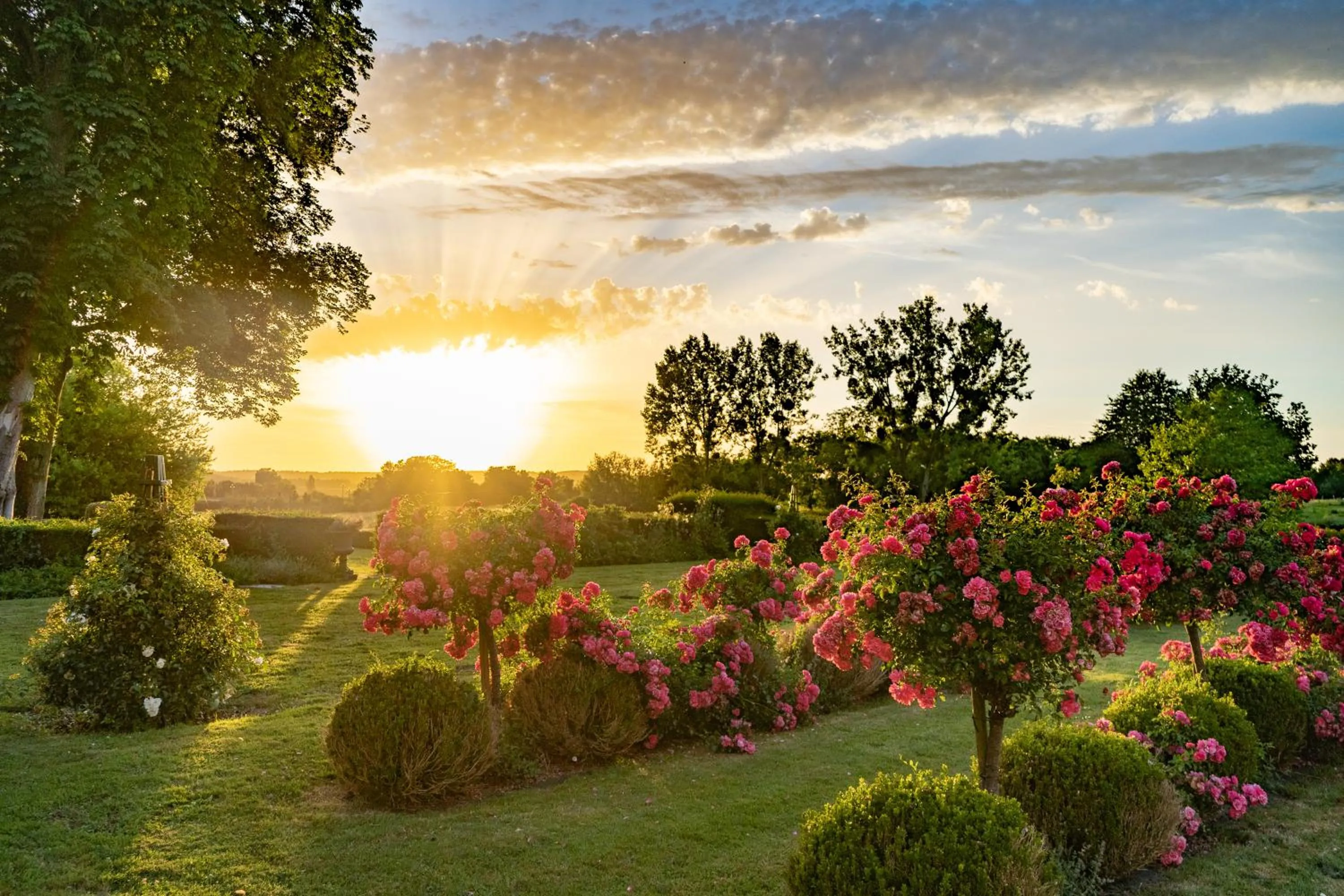 Garden in Hotel Haras De La Potardiere