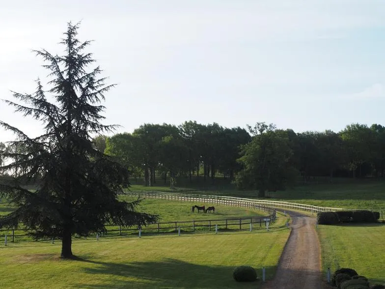 Garden view in Hotel Haras De La Potardiere