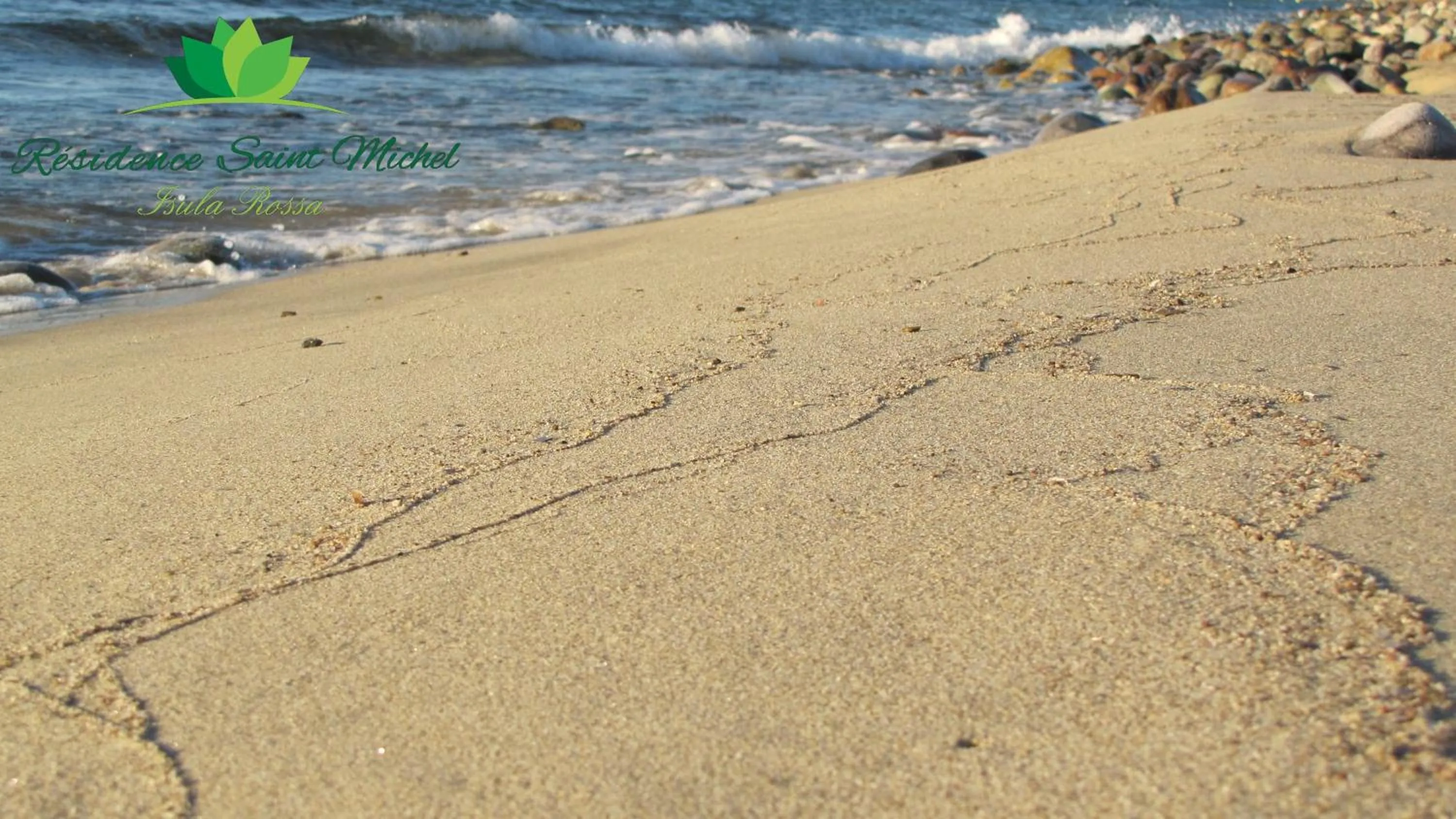 Fishing in Résidence Saint Michel