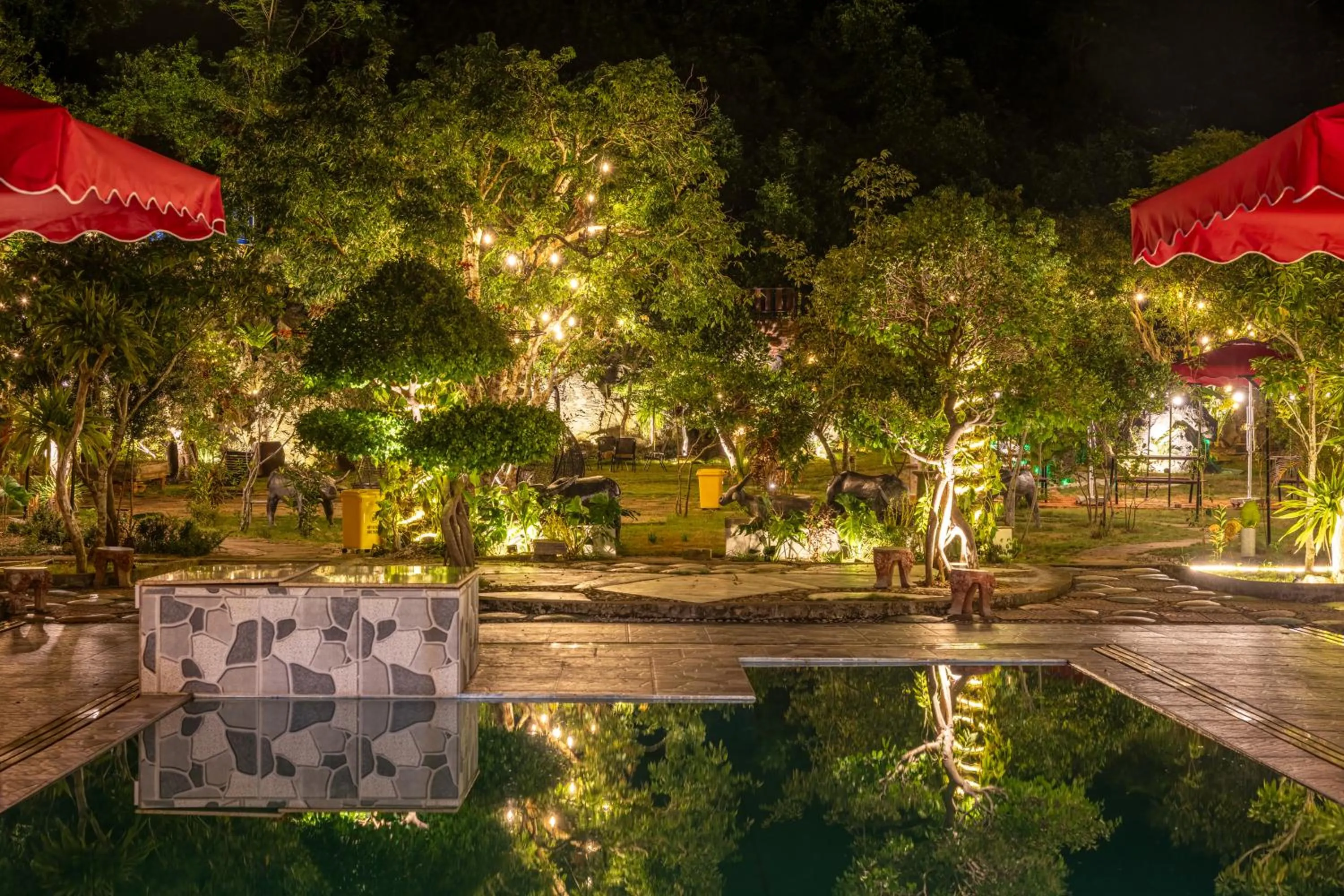 Night in Cat Ba Serena Homestay And Swimming Pool