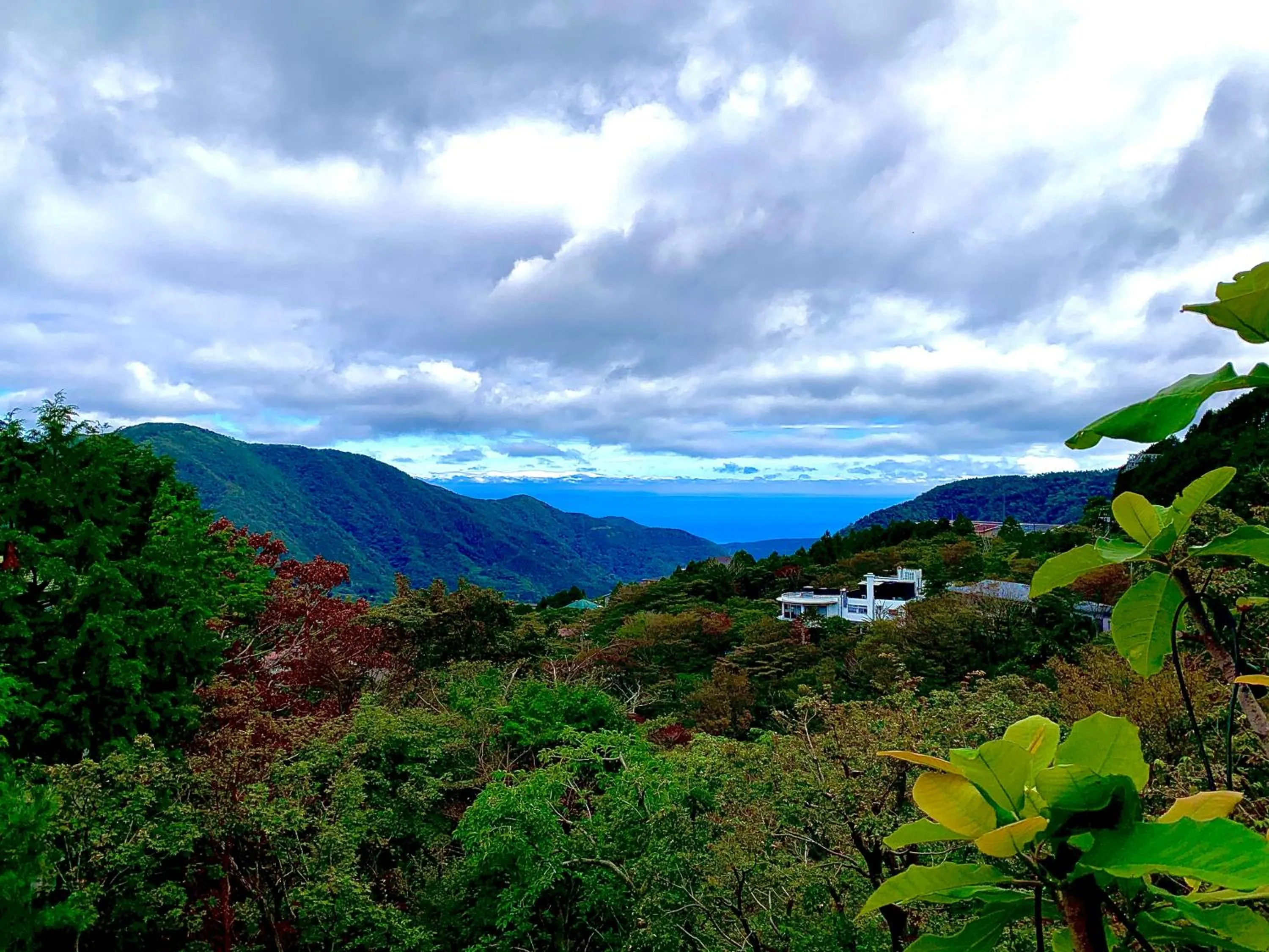 Natural landscape in gran terrace Le Lien Hakone
