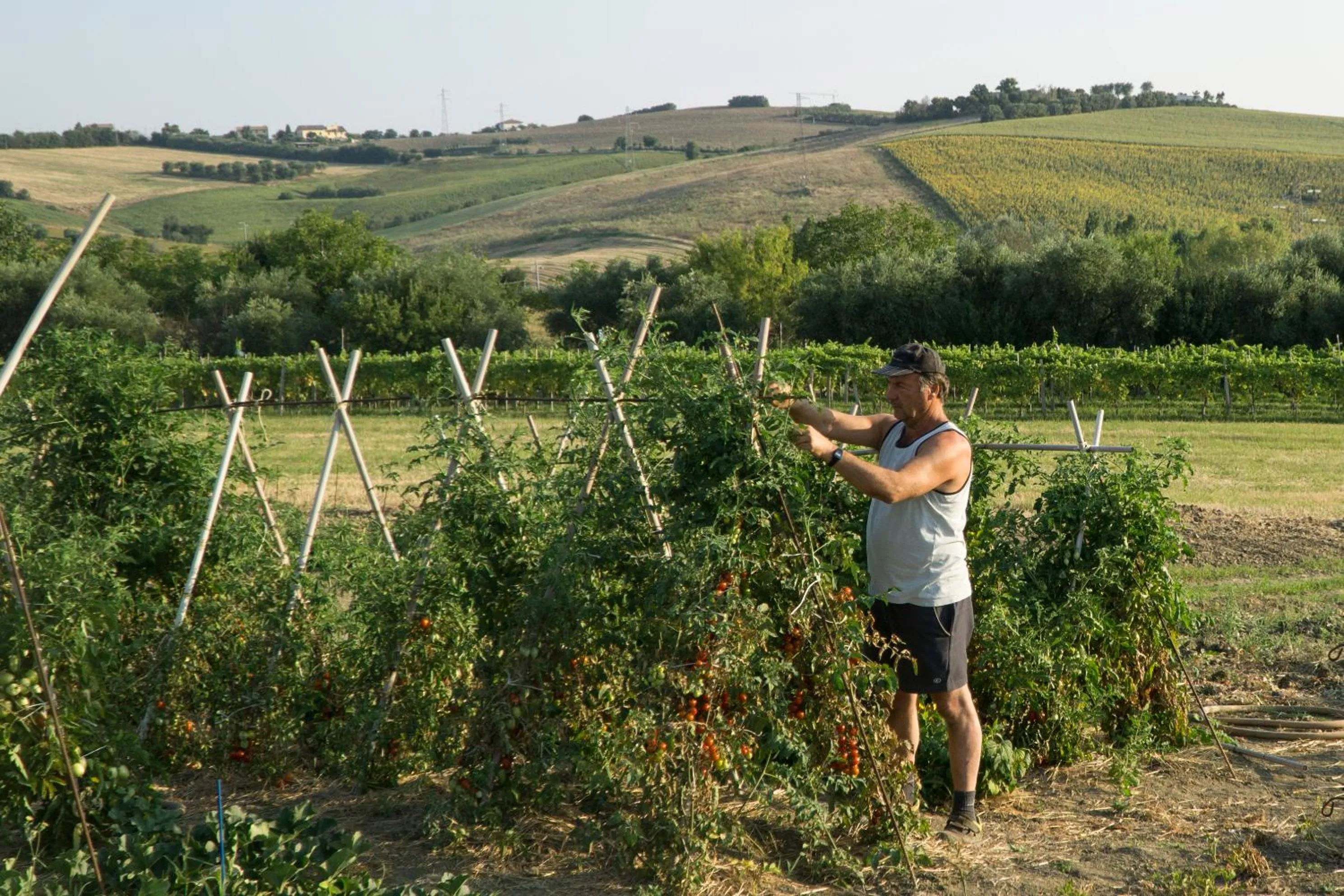 People in Villa di agricoltori