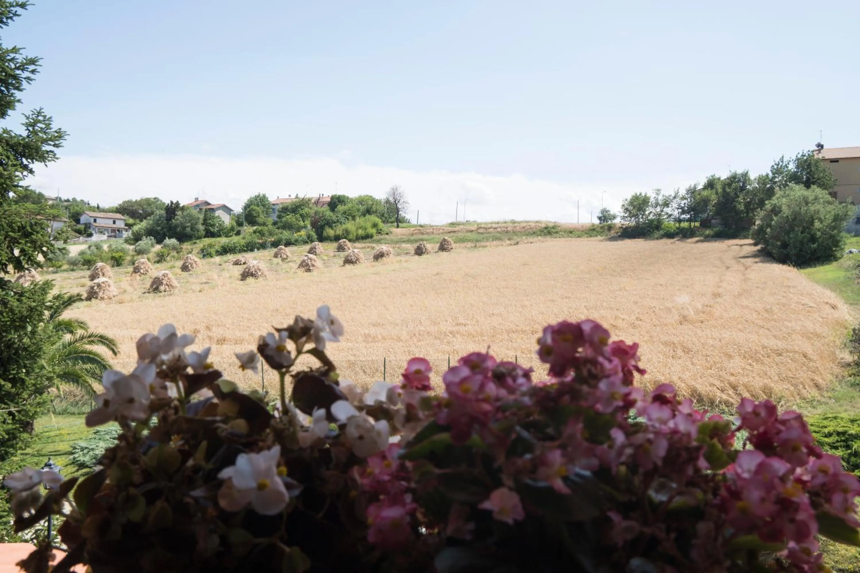 Natural landscape in Villa di agricoltori
