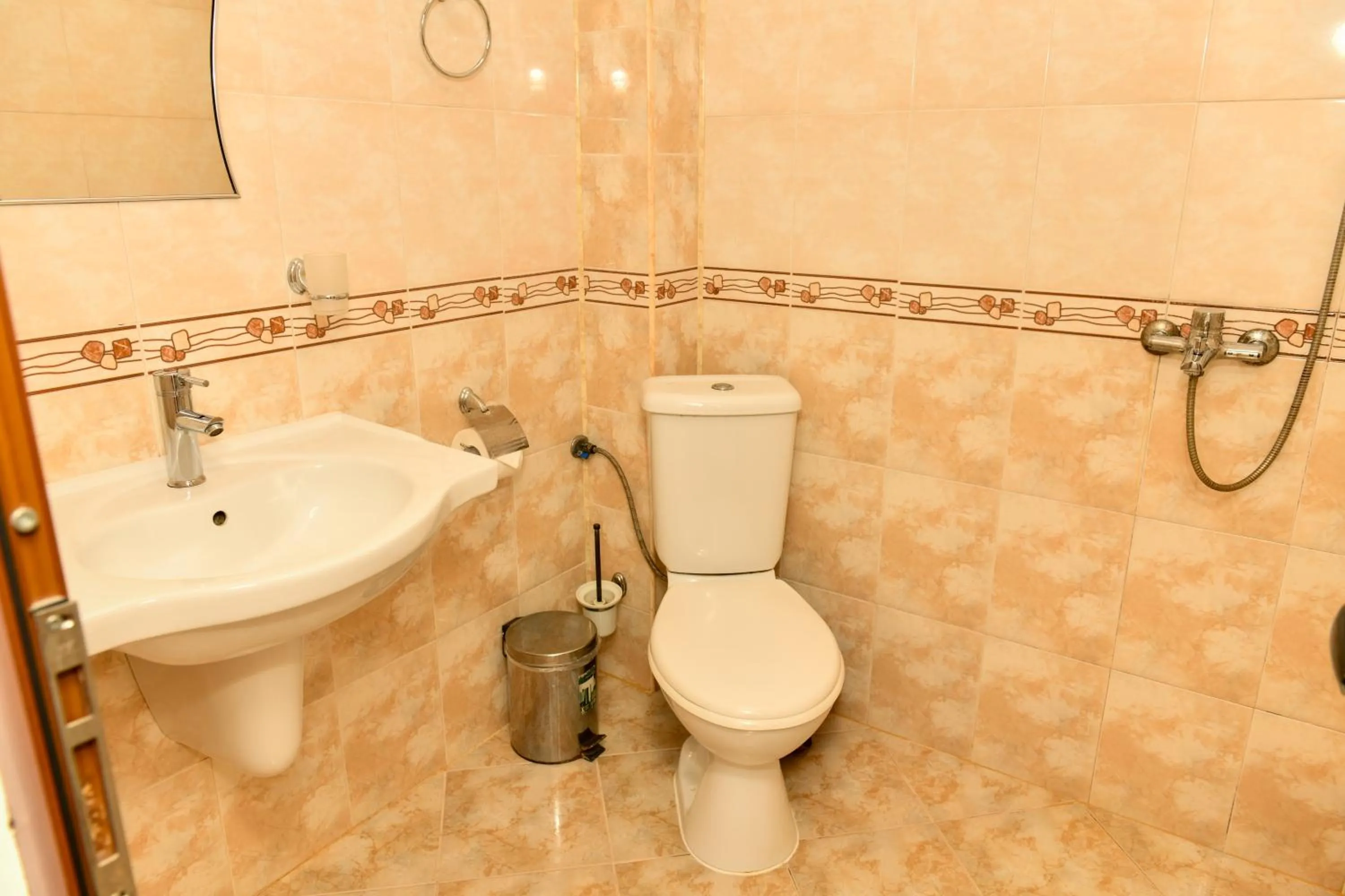 Shower in Blyan Family Hotel