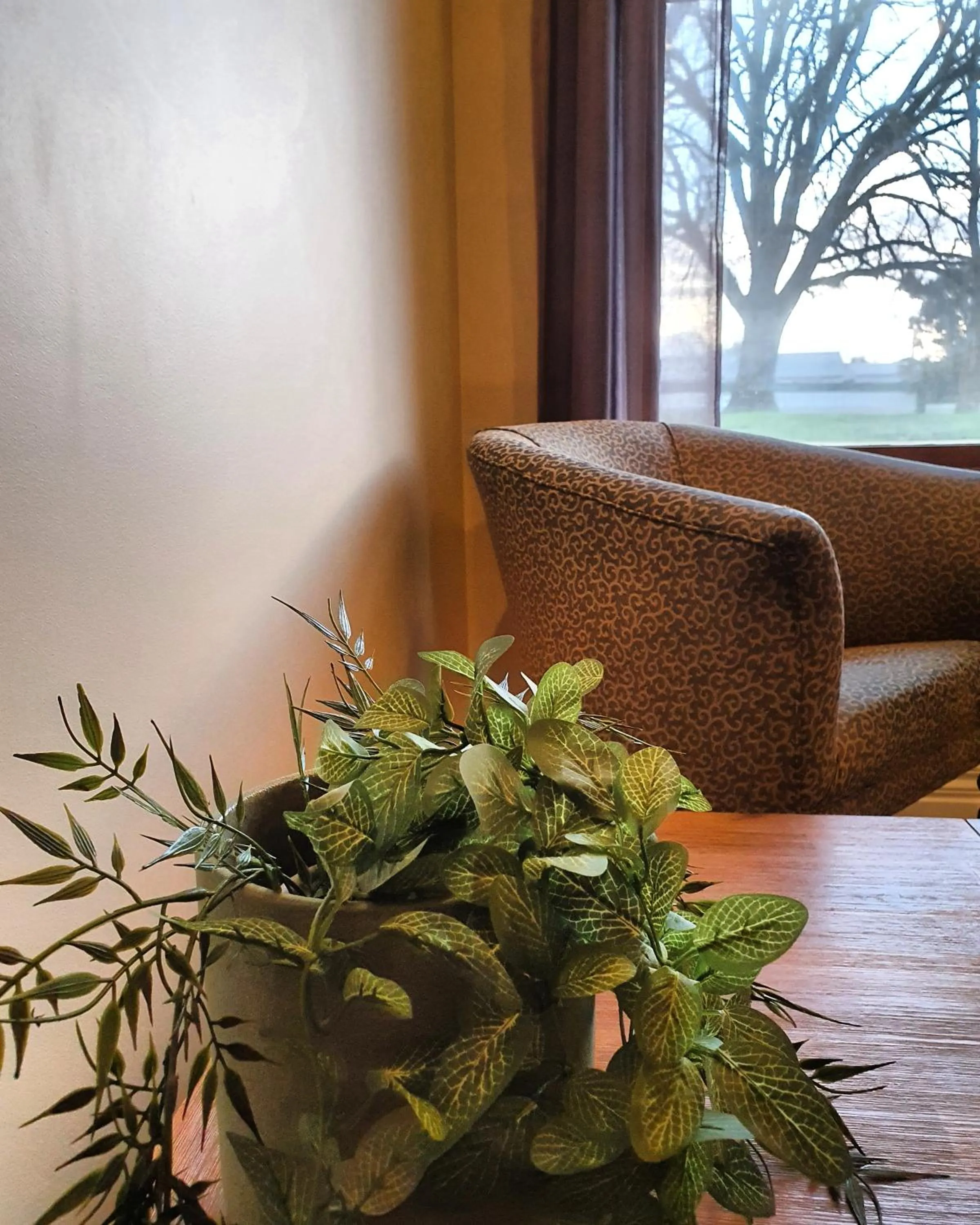 The Lancefield Lodge