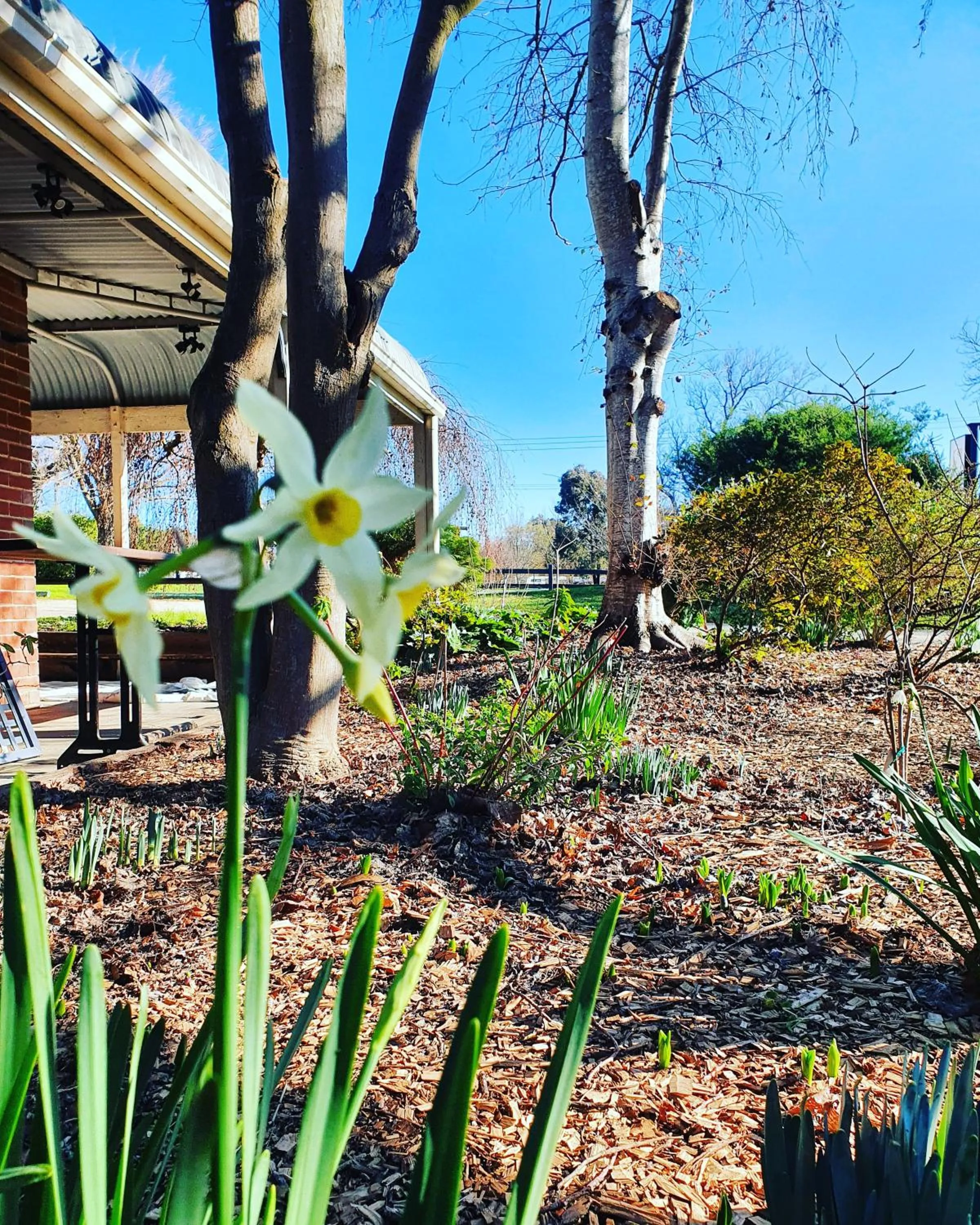 The Lancefield Lodge