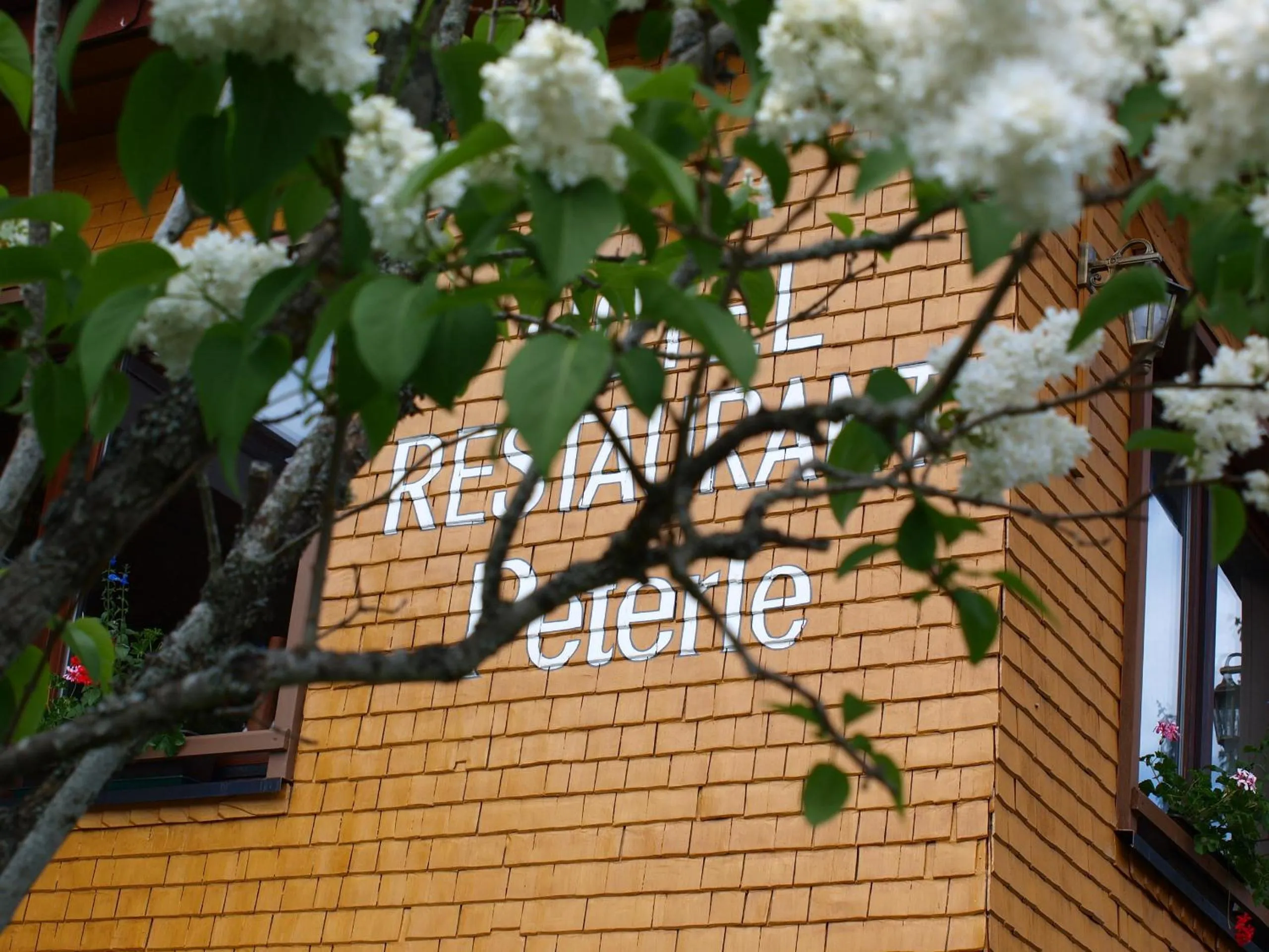 Facade/entrance in Hotel Restaurant Peterle