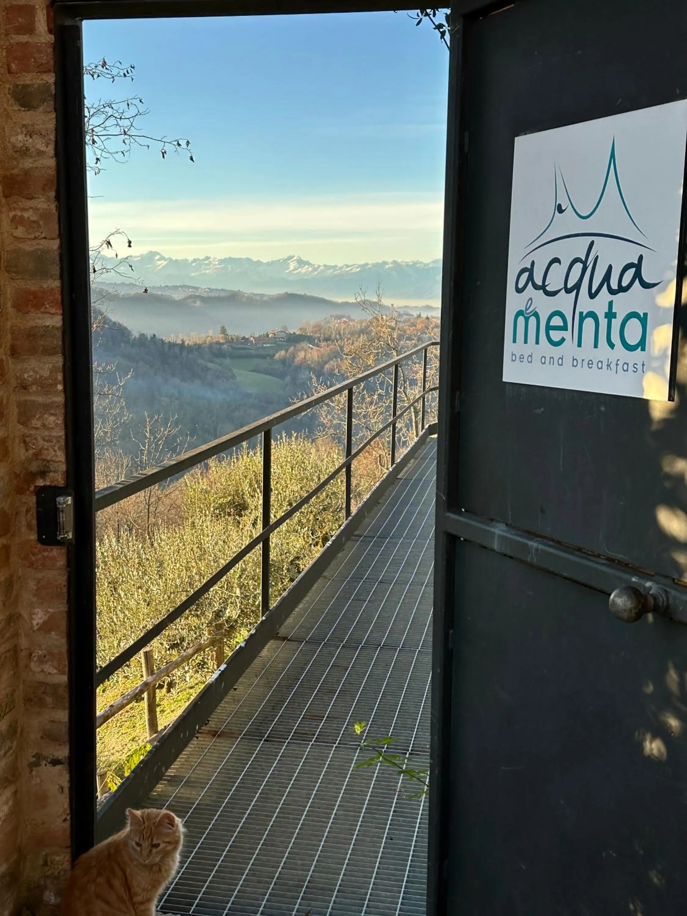 Acquaementa
