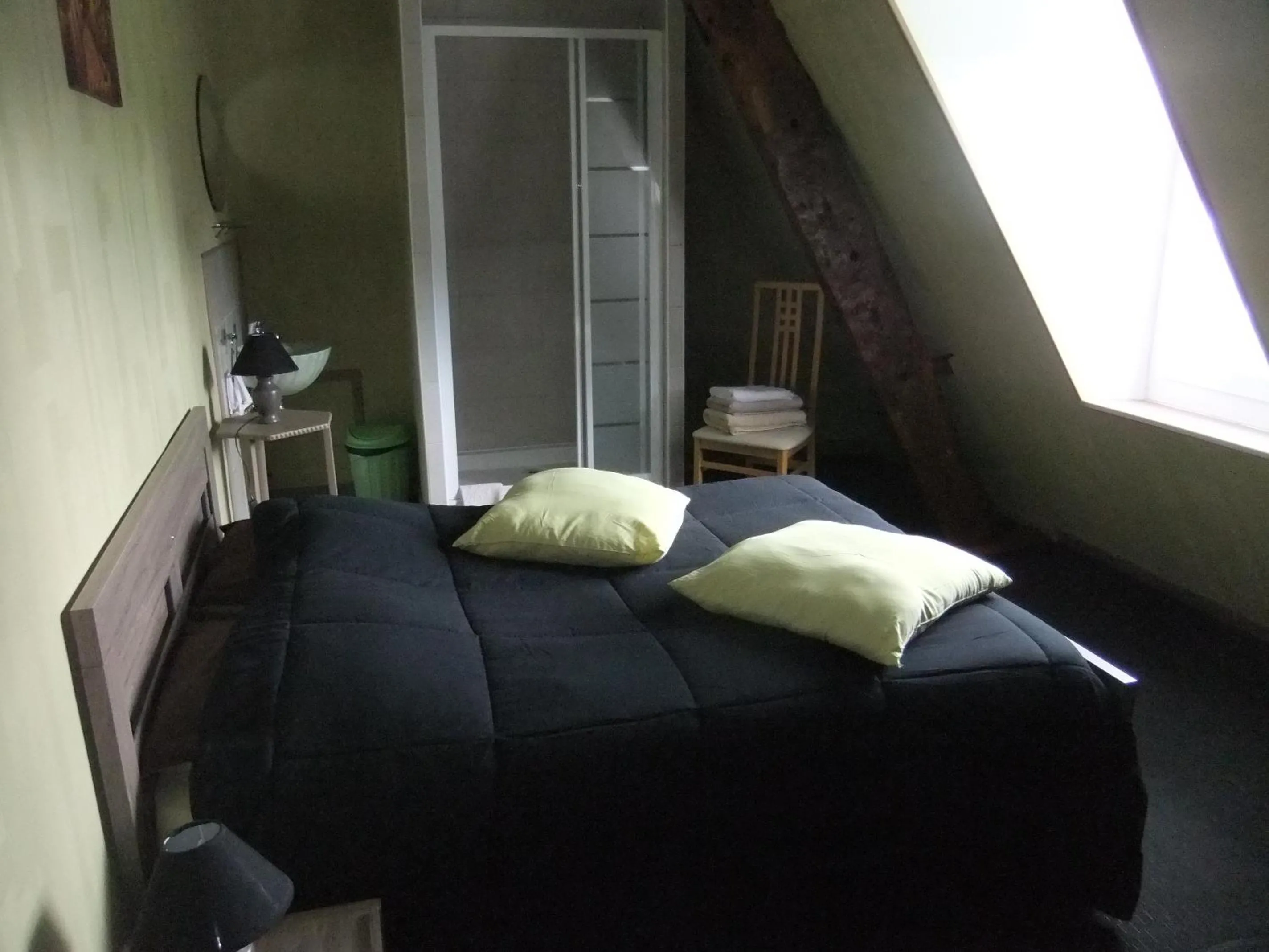 Shower, Bed in Gîtes de L'Aumondière