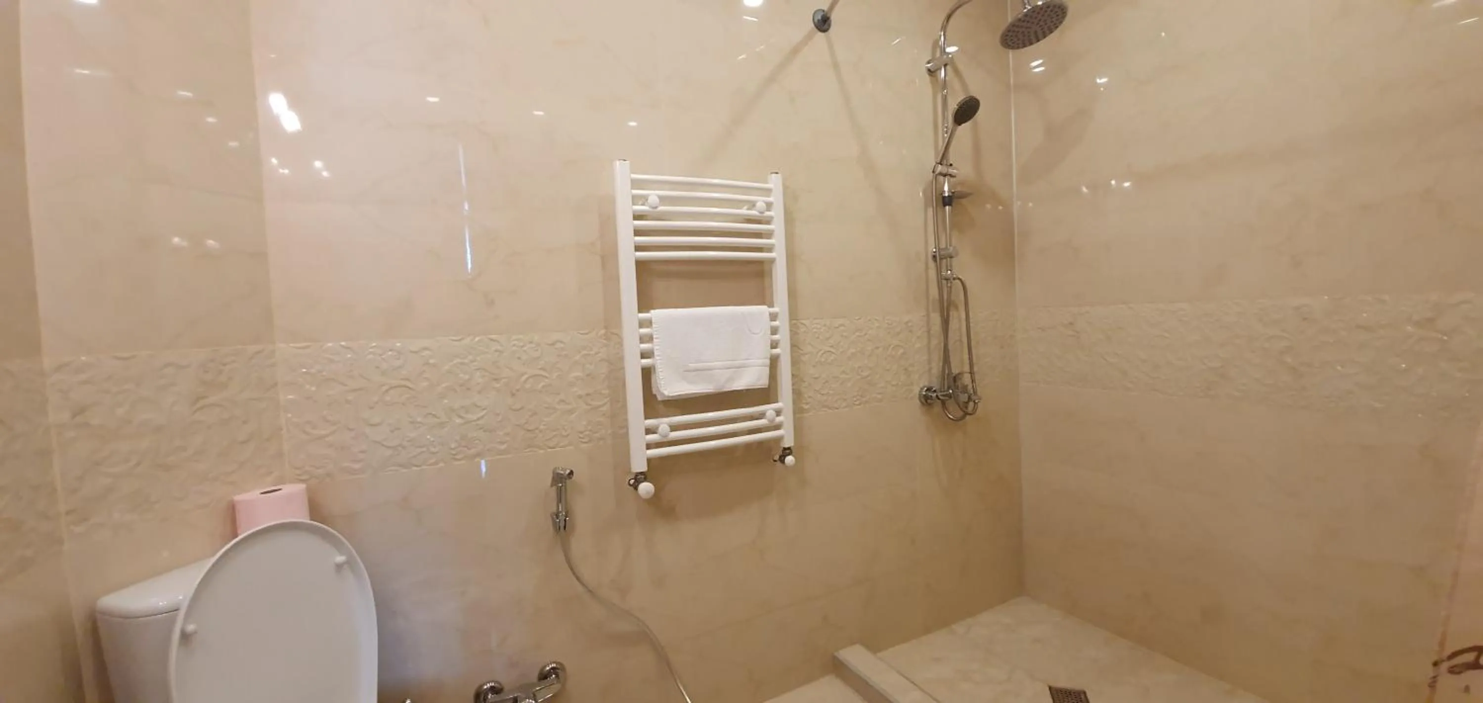 Toilet in Boutique Hotel Dany