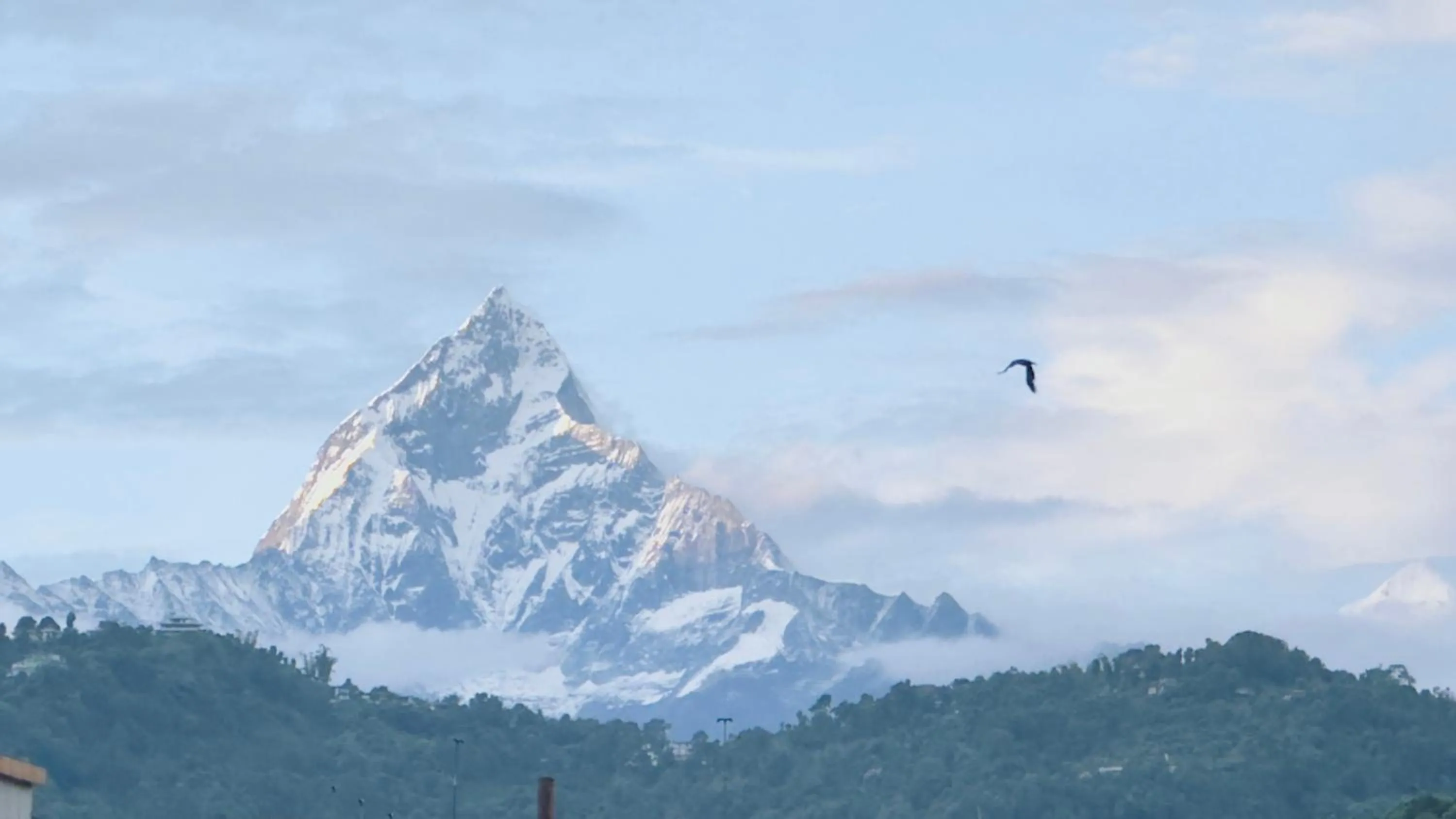 View (from property/room) in Hotel Balcony