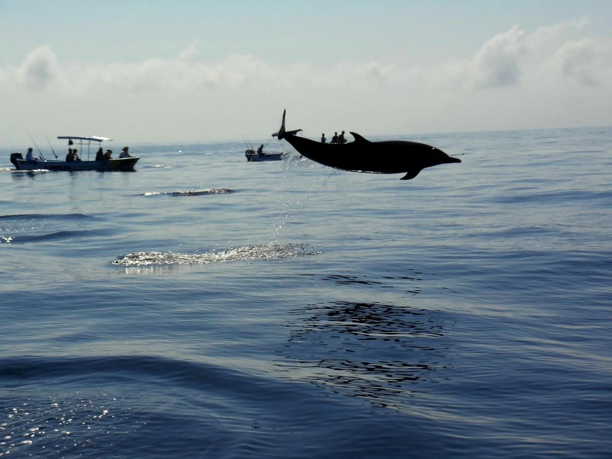 Diving in Samara Pacific Lodge