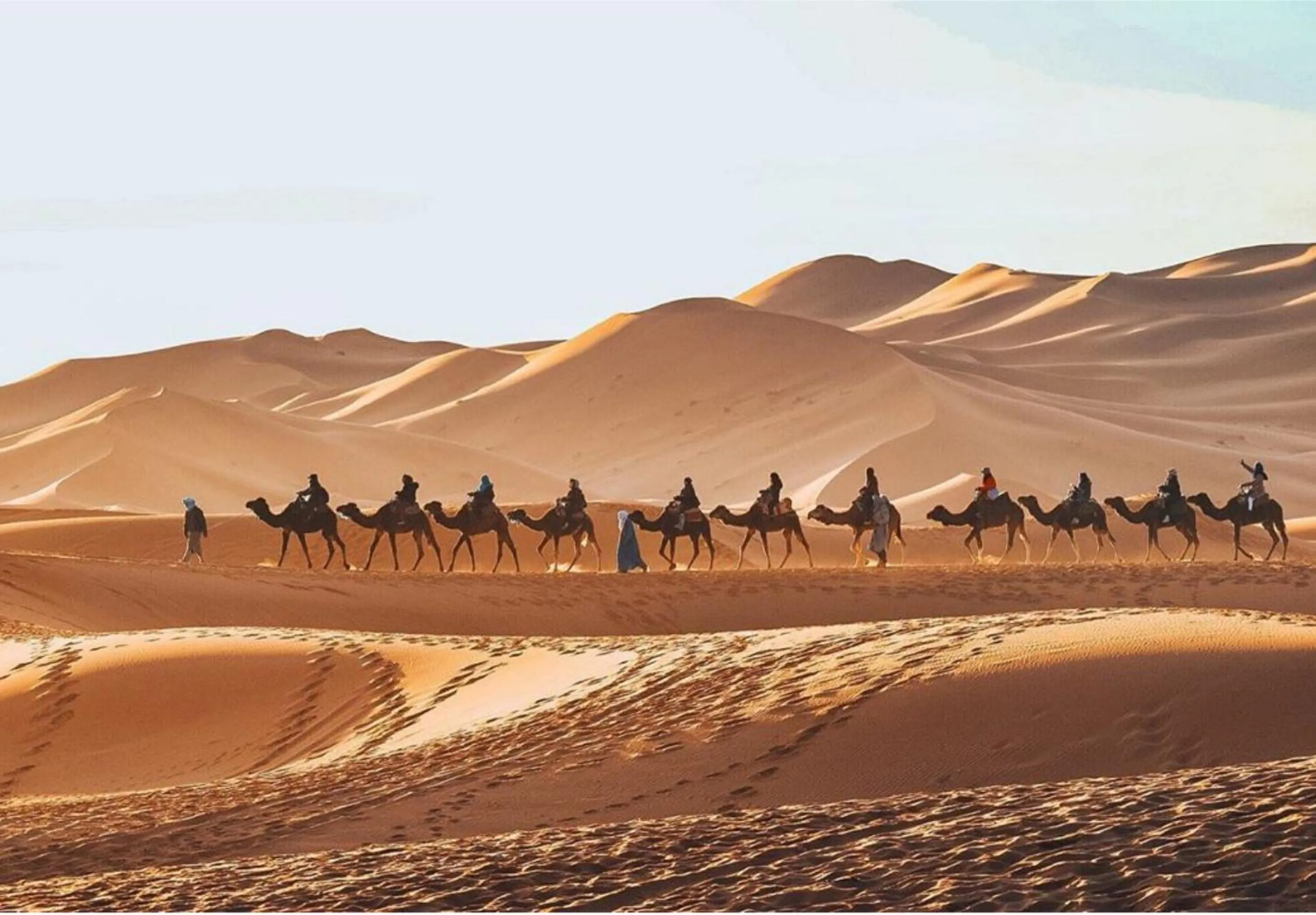 Day in Luxury berber style