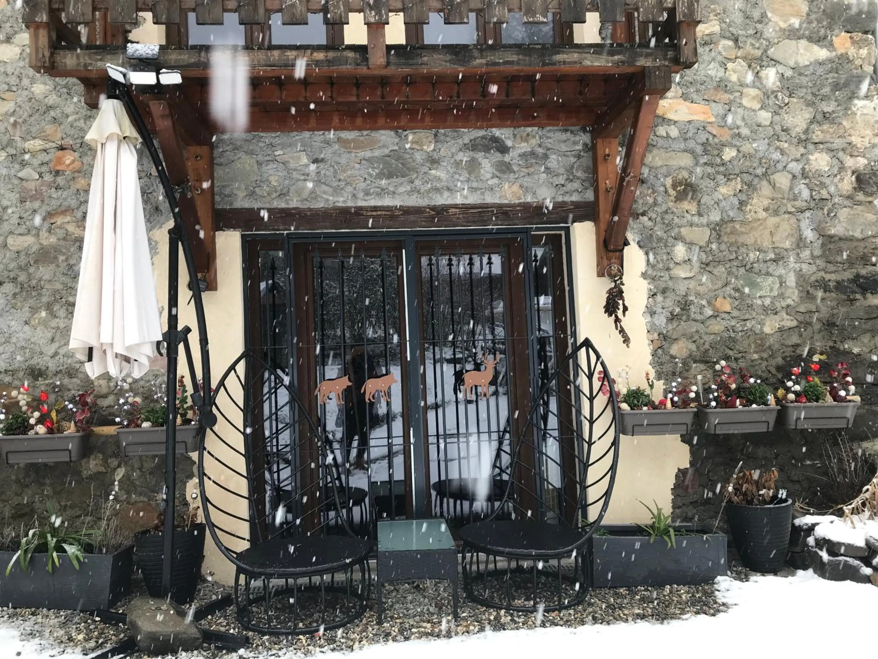 AU SOMMET DES NARCISSES