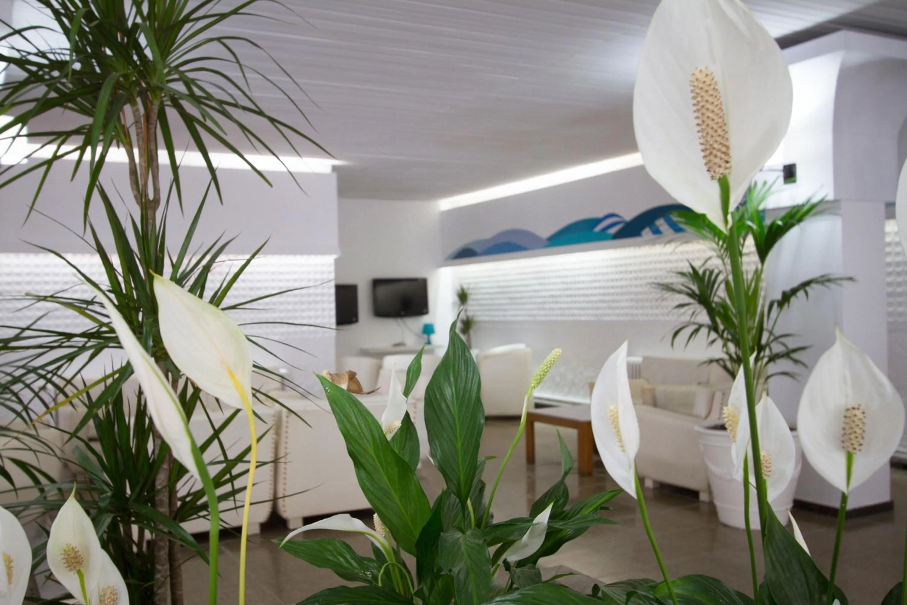 Lobby or reception in Hotel Villa Garbí