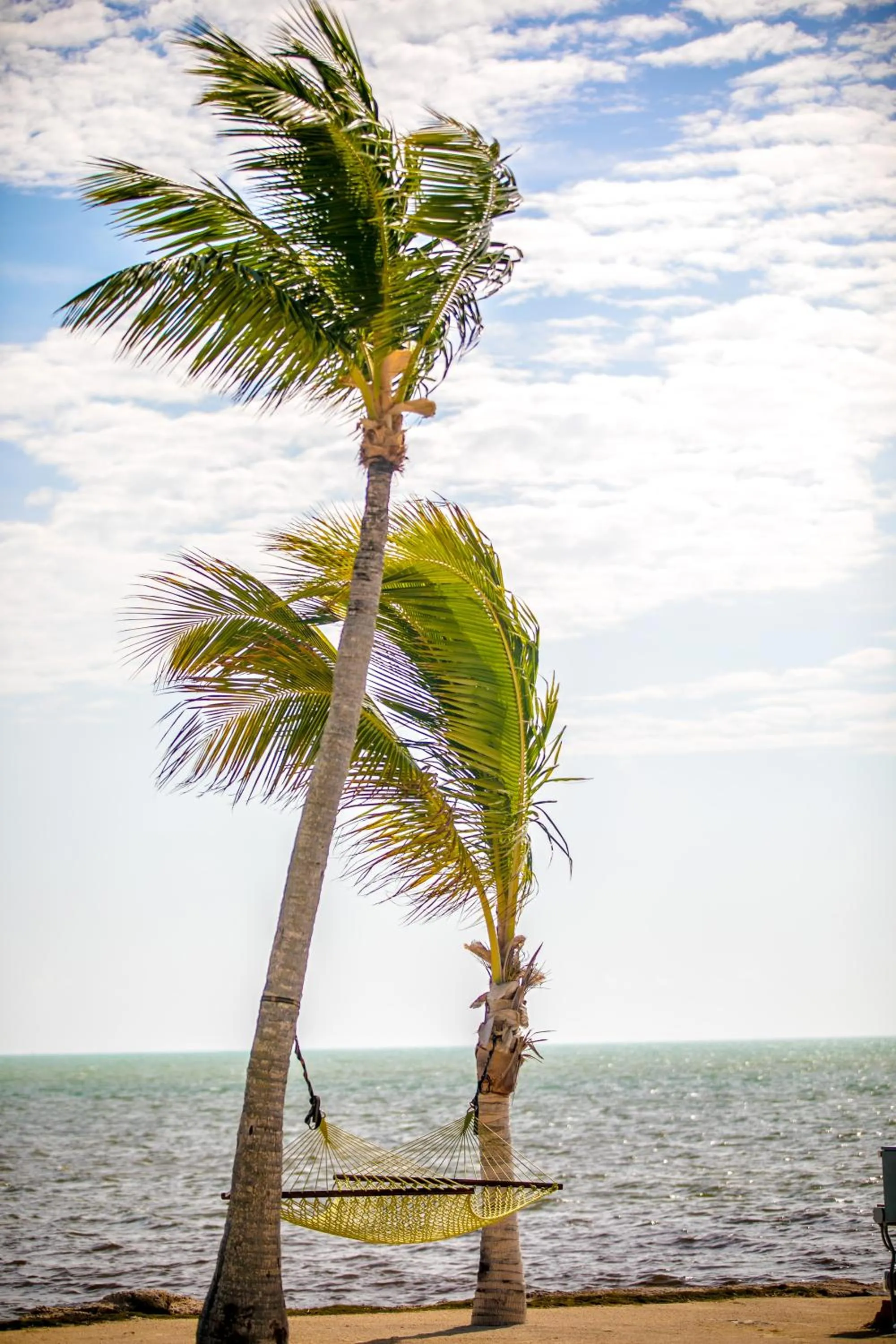 Natural landscape in Ragged Edge Resort & Marina