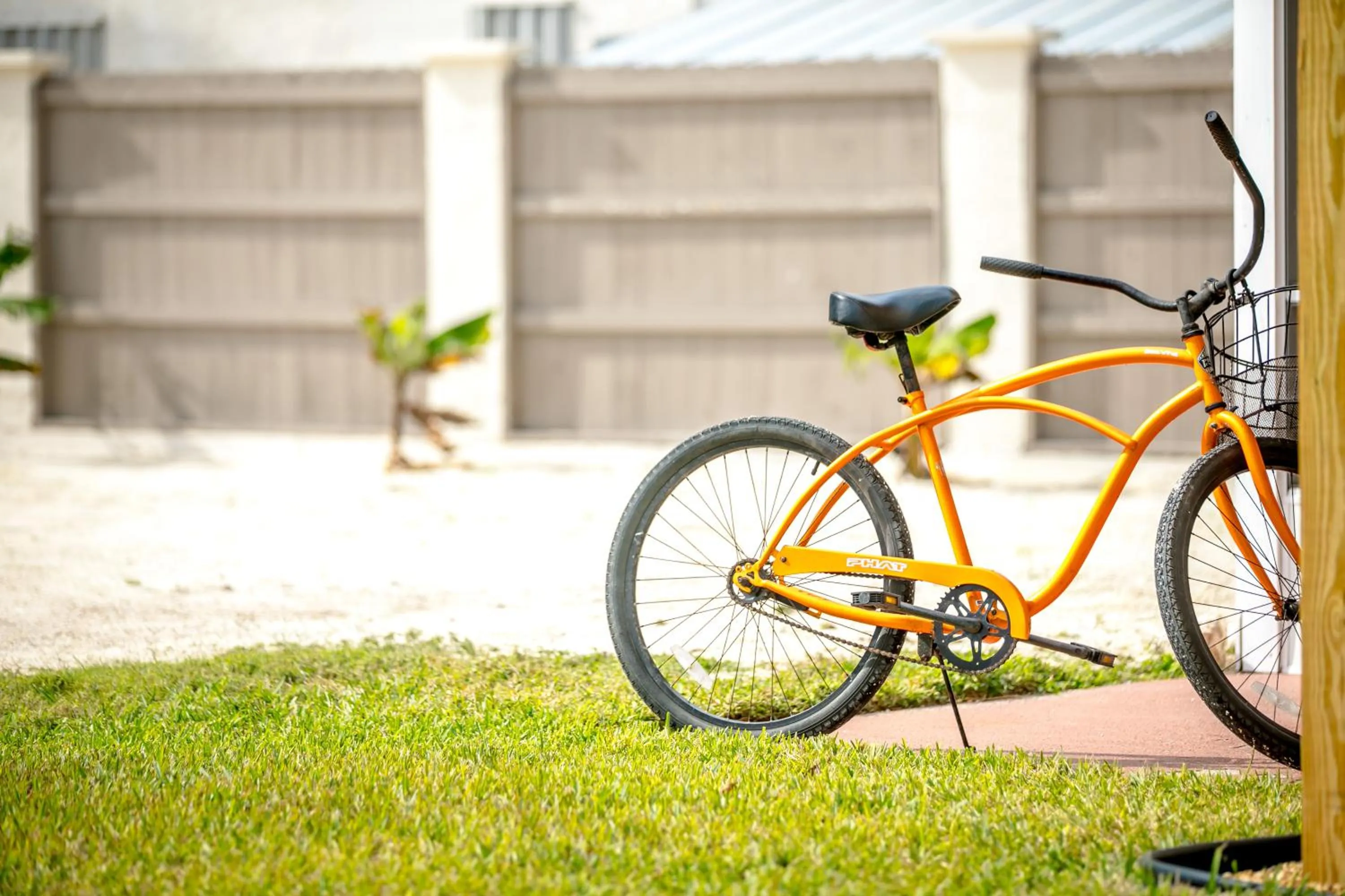 Activities in Ragged Edge Resort & Marina