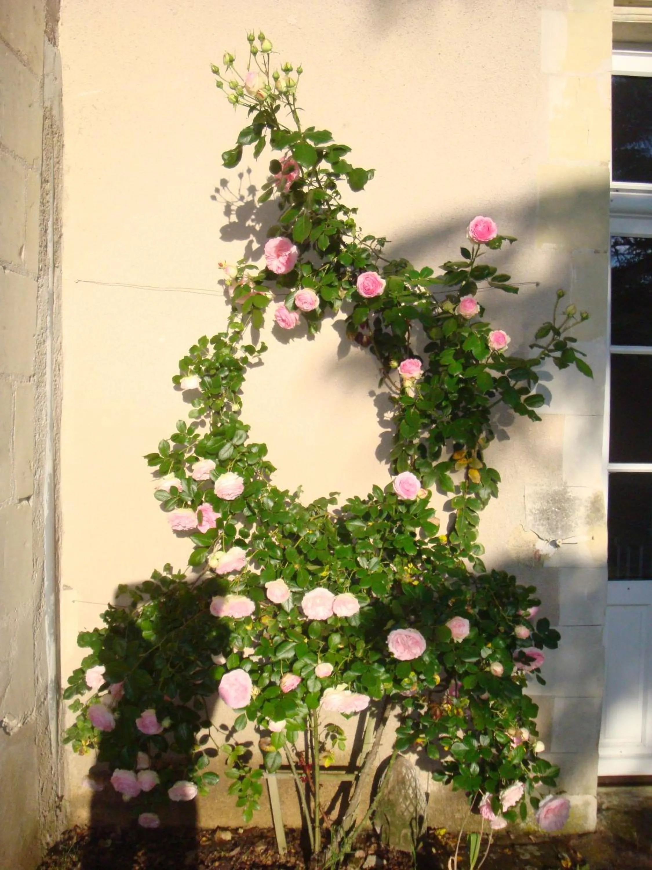 Other in Manoir d'Orbé