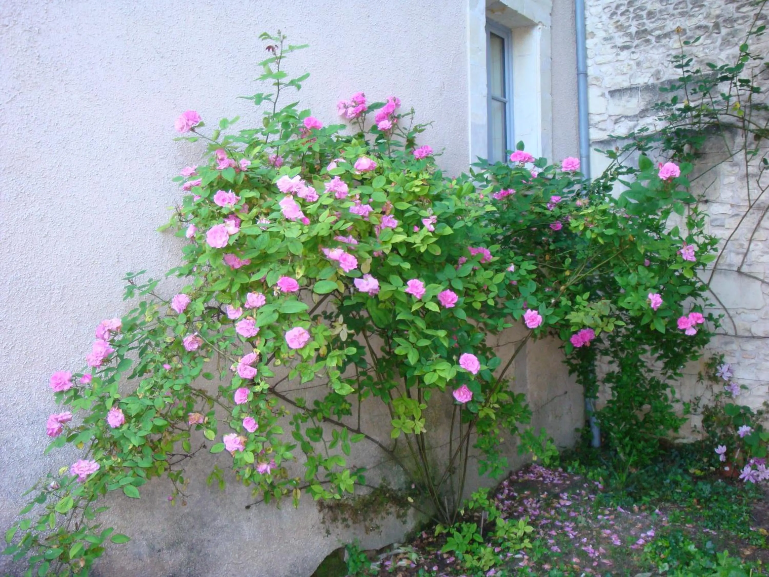 Other in Manoir d'Orbé