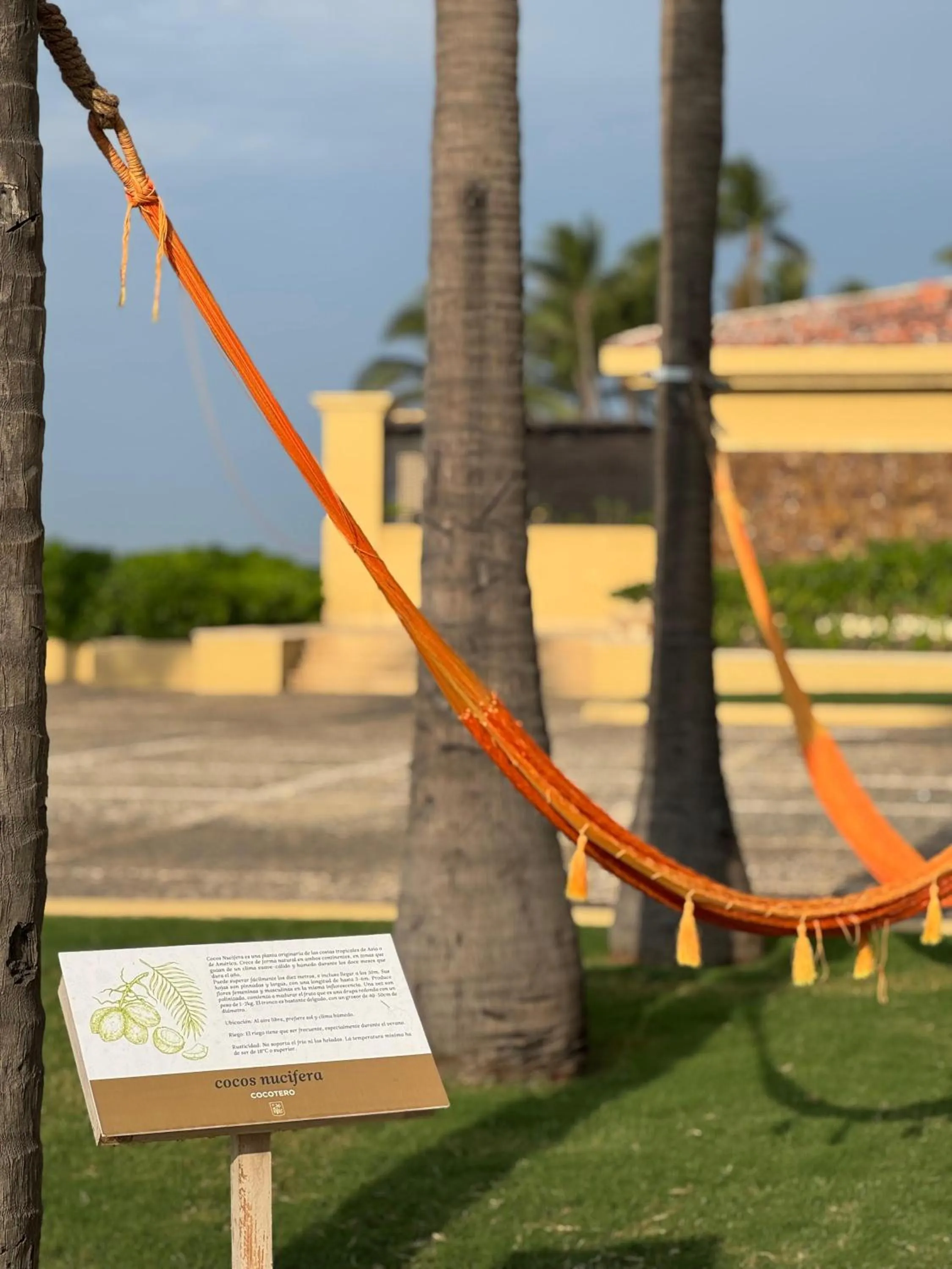 Hotel Tres Vidas Acapulco