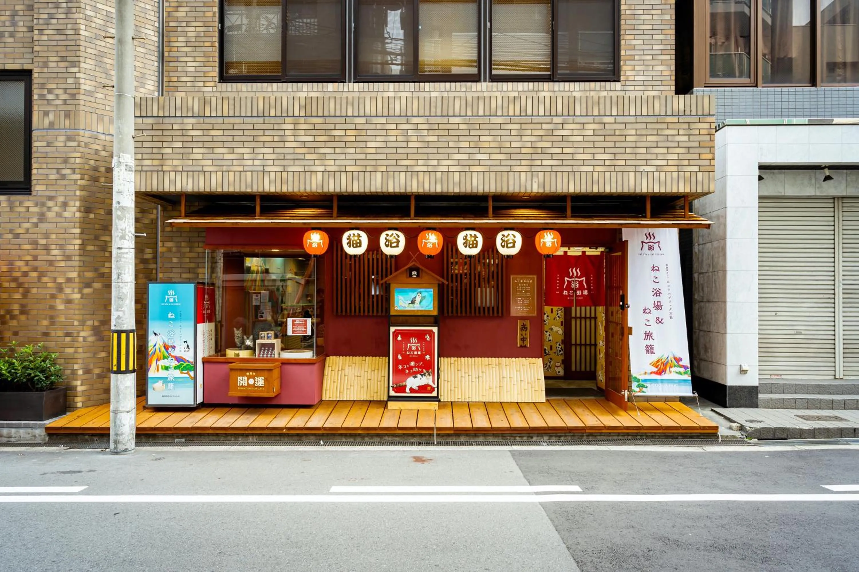 Day in Cat Spa & Cat Ryokan by Neco Republic Osaka
