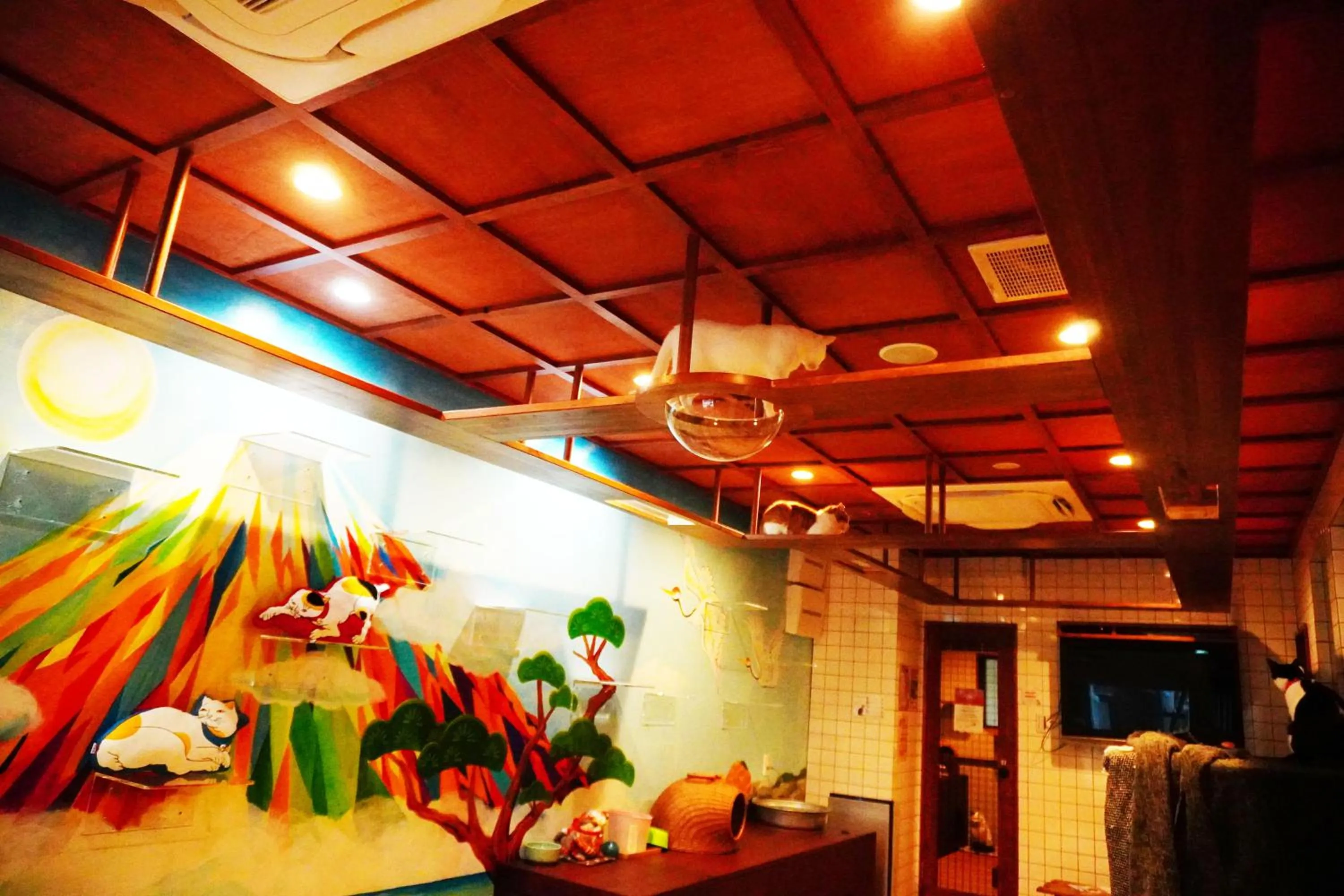 Area and facilities in Cat Spa & Cat Ryokan by Neco Republic Osaka