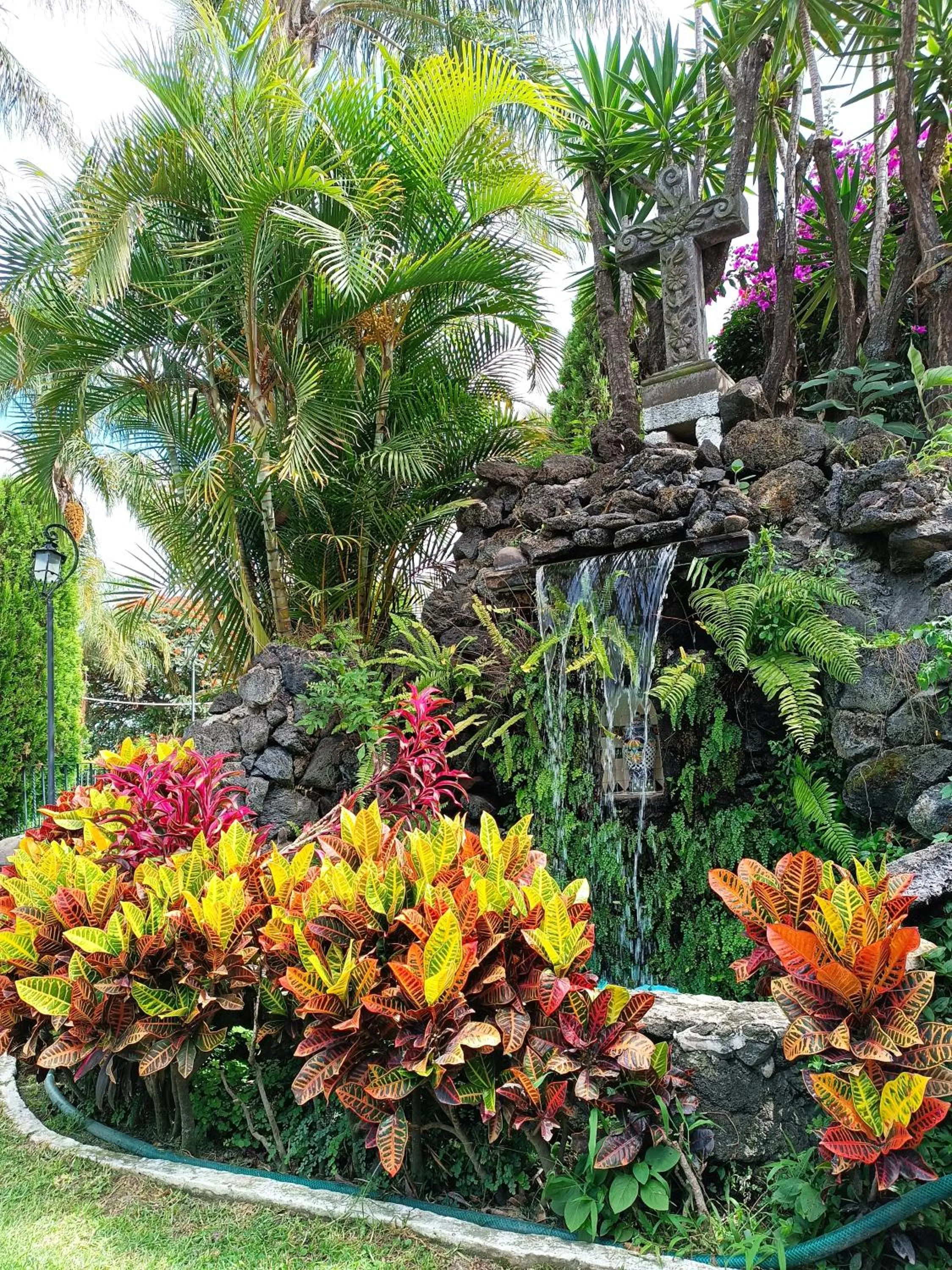 Garden in Posada Los Alcatraces