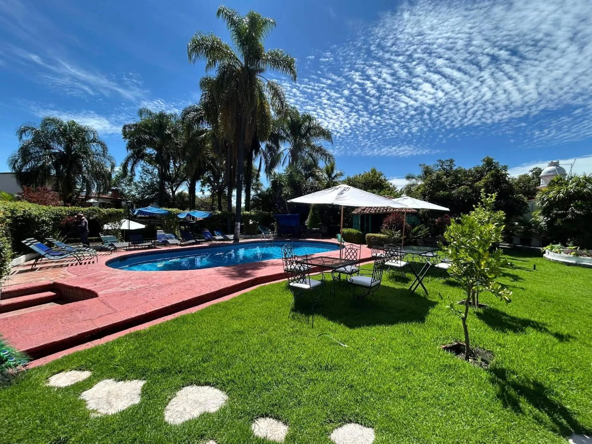 Garden in Posada Los Alcatraces