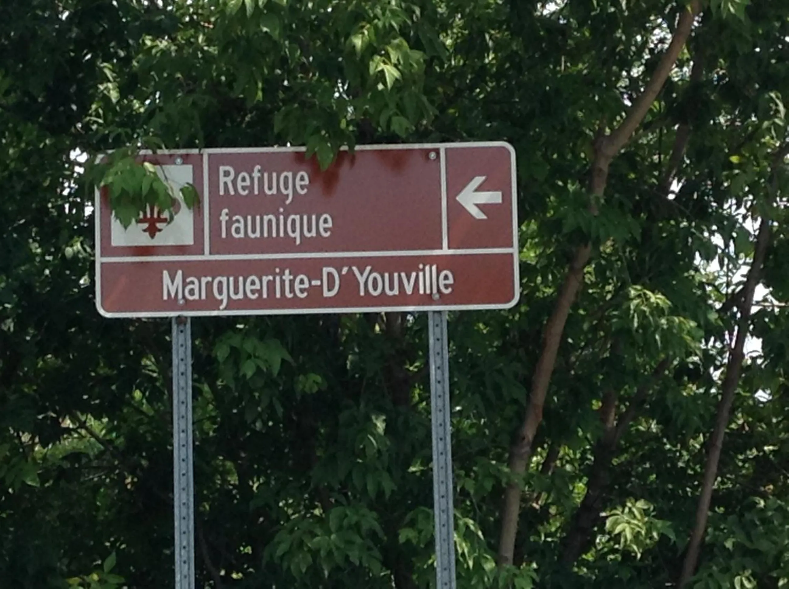 Area and facilities in Manoir d'Youville