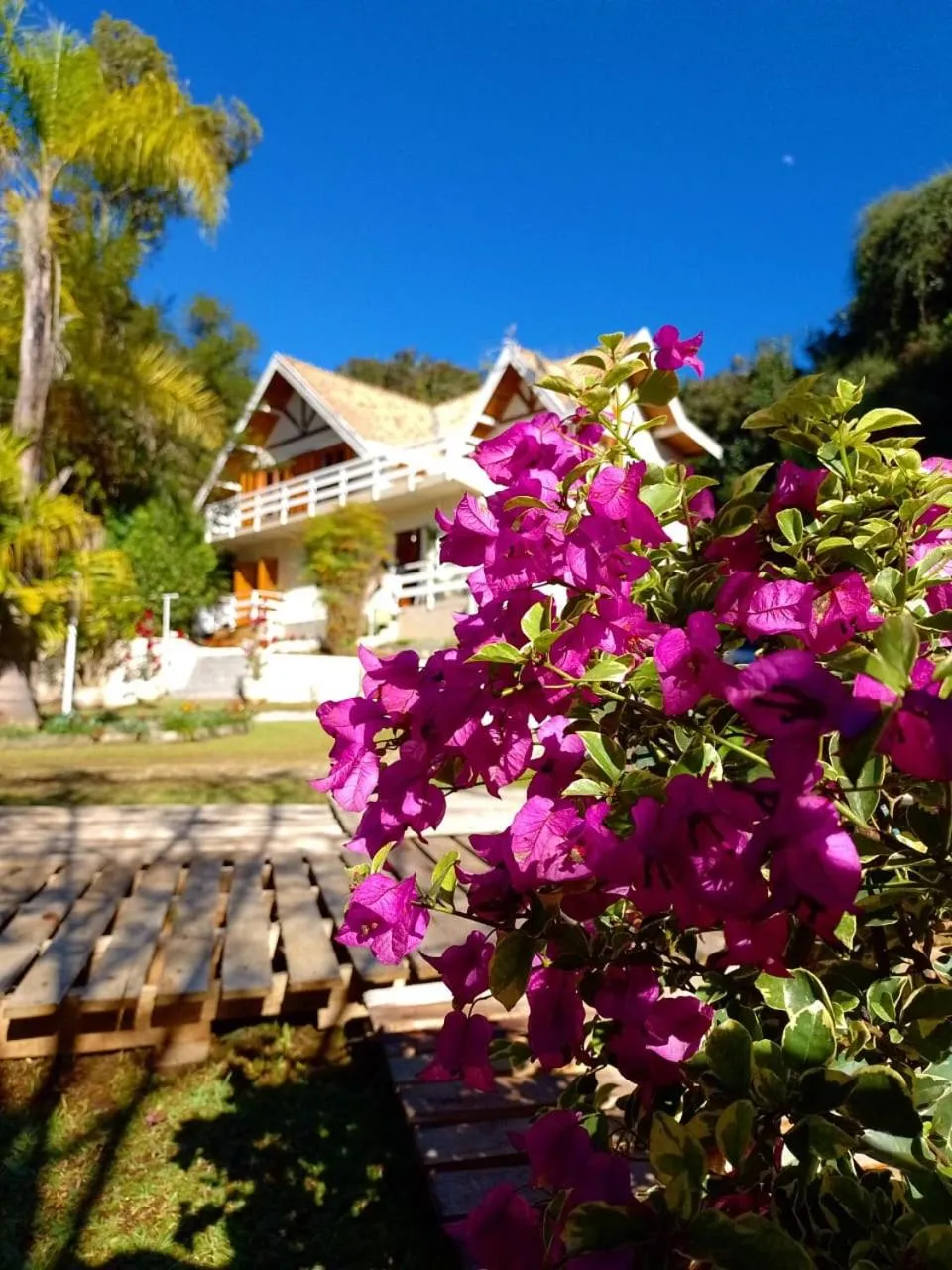 Casa do Papai