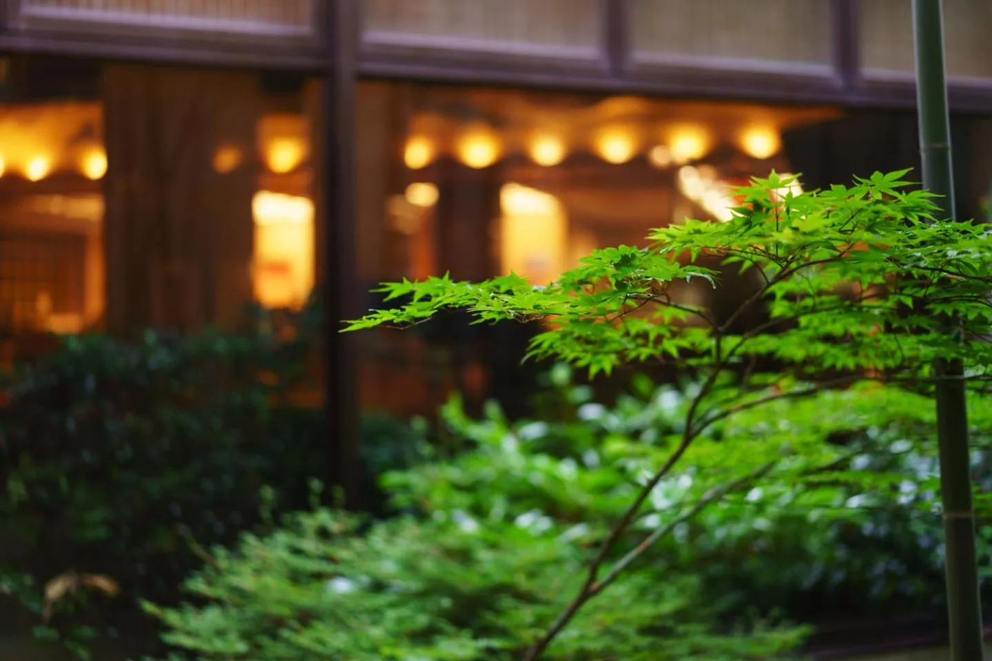 Open Air Bath in Hotel Seifuuen