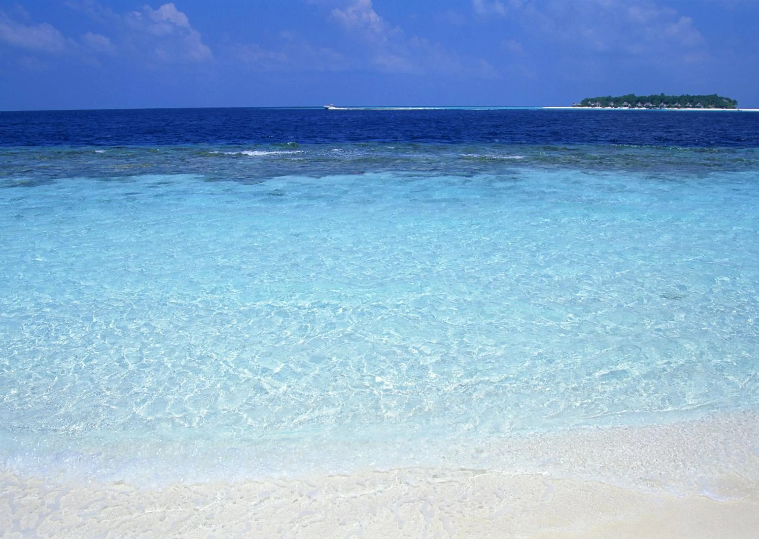 Natural landscape in Petit Resort Native Sea Amami