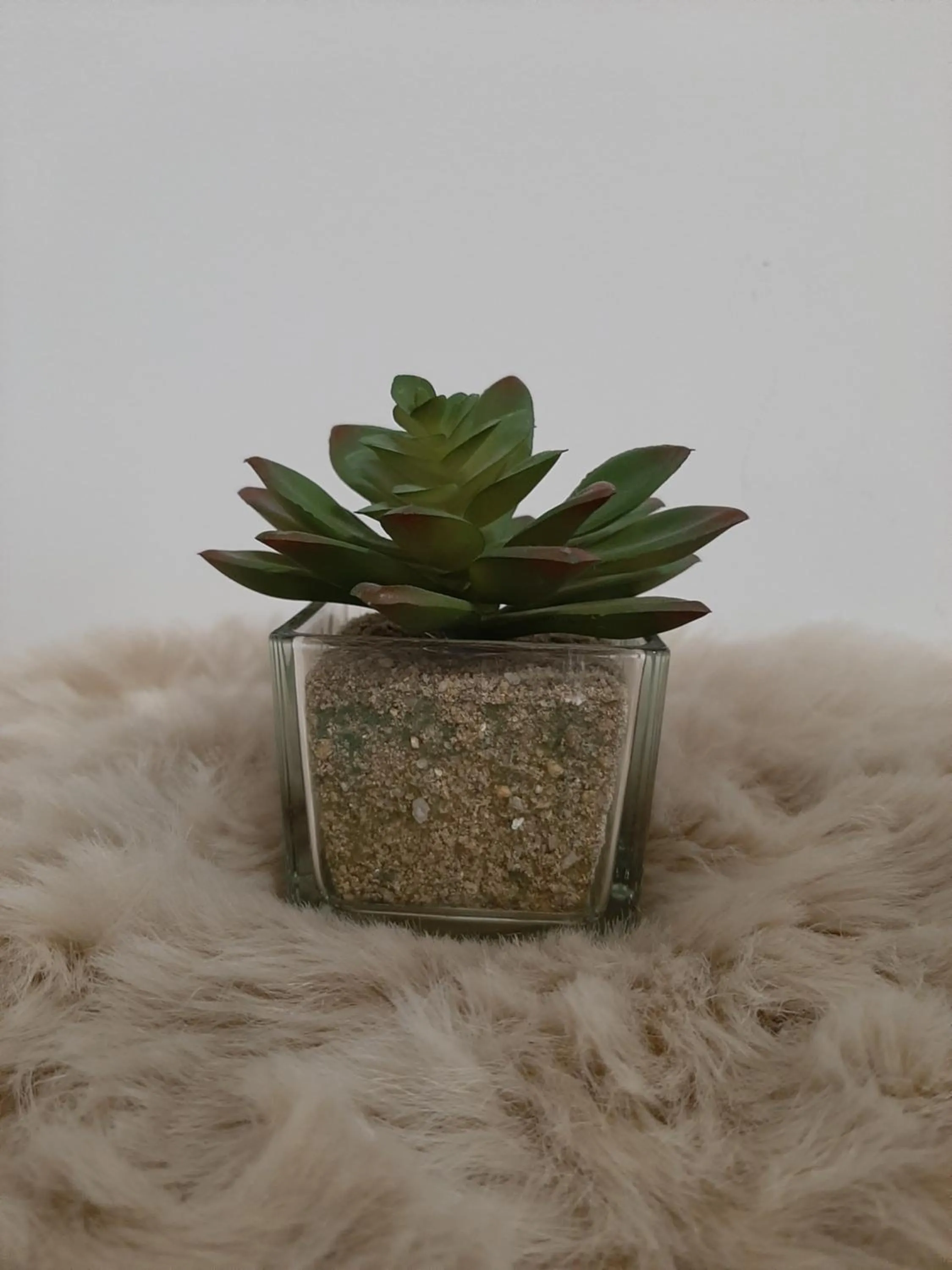 New Hostel Berlin Mitte FREE SNACK hot tea and coffee