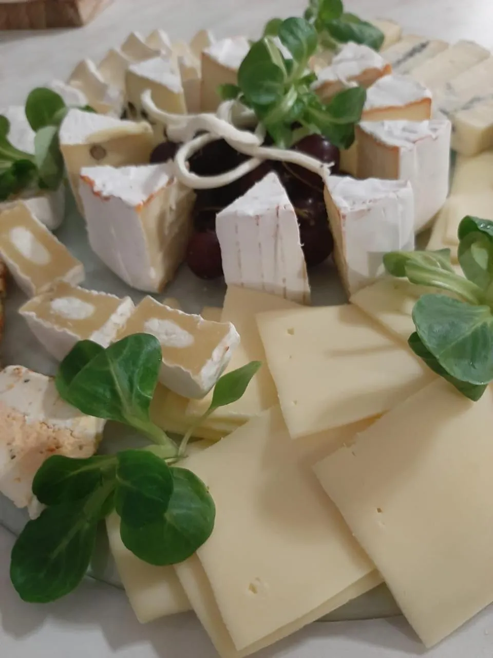 New Hostel Berlin Mitte FREE SNACK hot tea and coffee