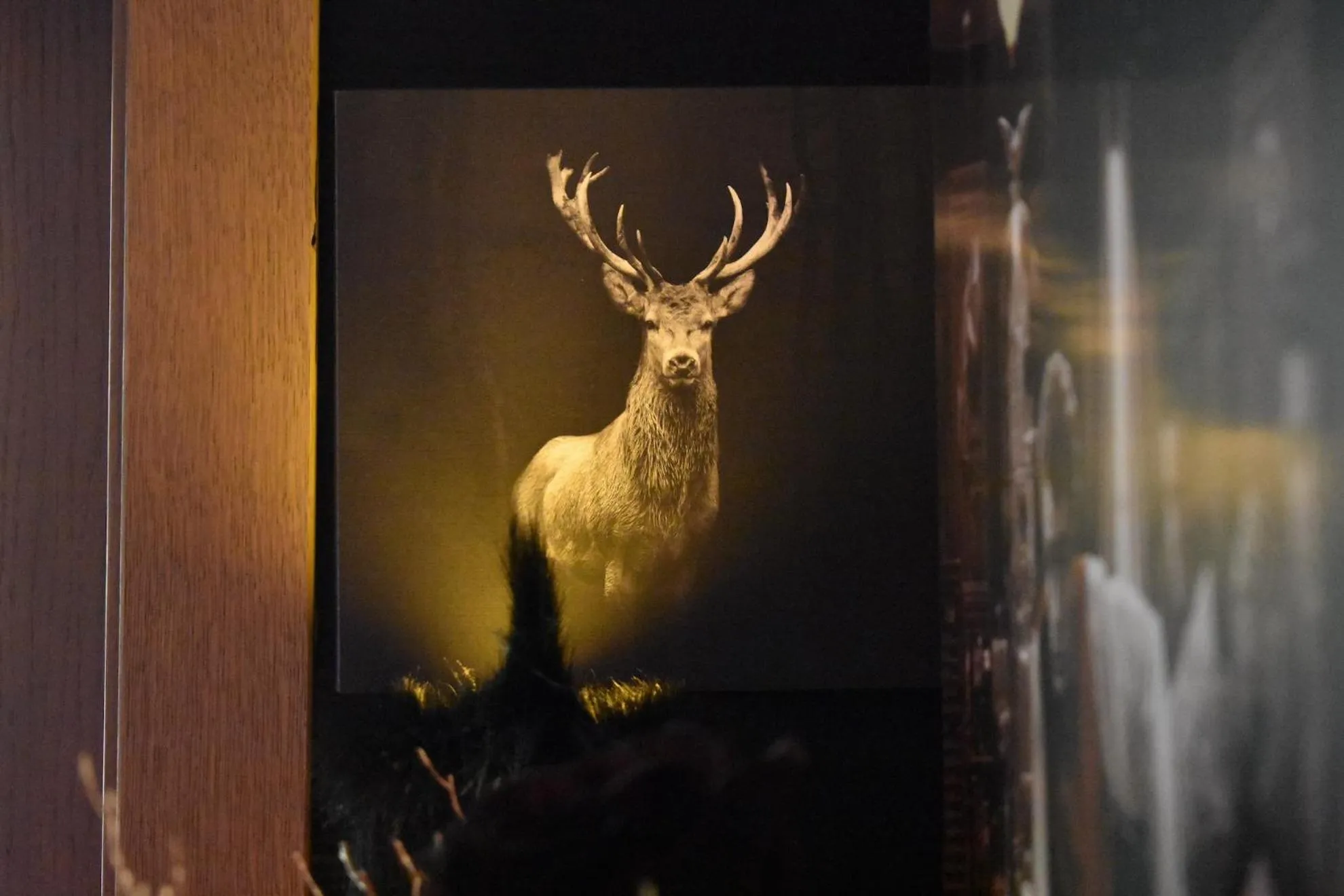 Lounge or bar in Rooms & Amoria Spa for Adults Only - Hotel Jägerhof Wörthersee