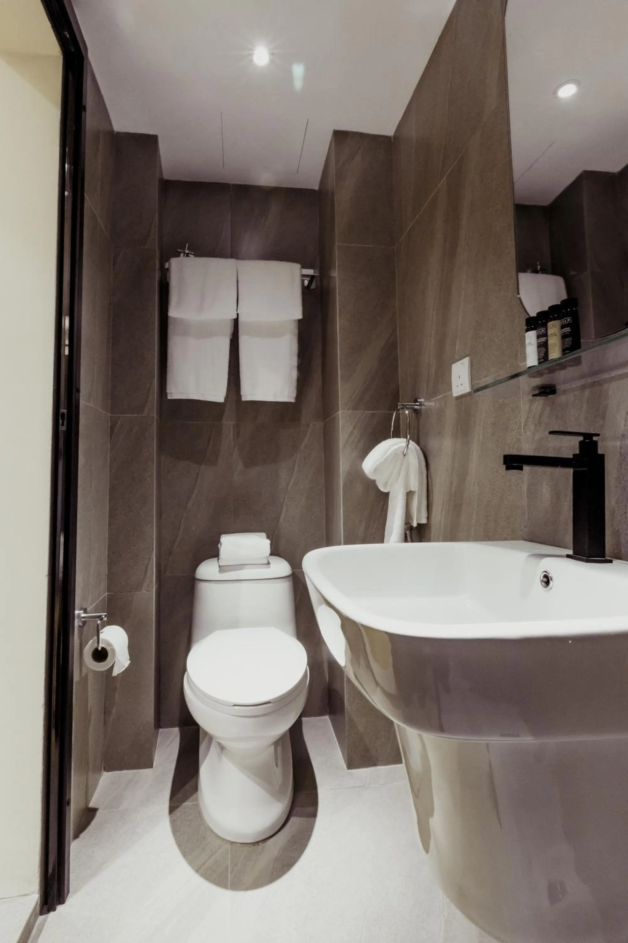 Toilet in Urban Living Residence