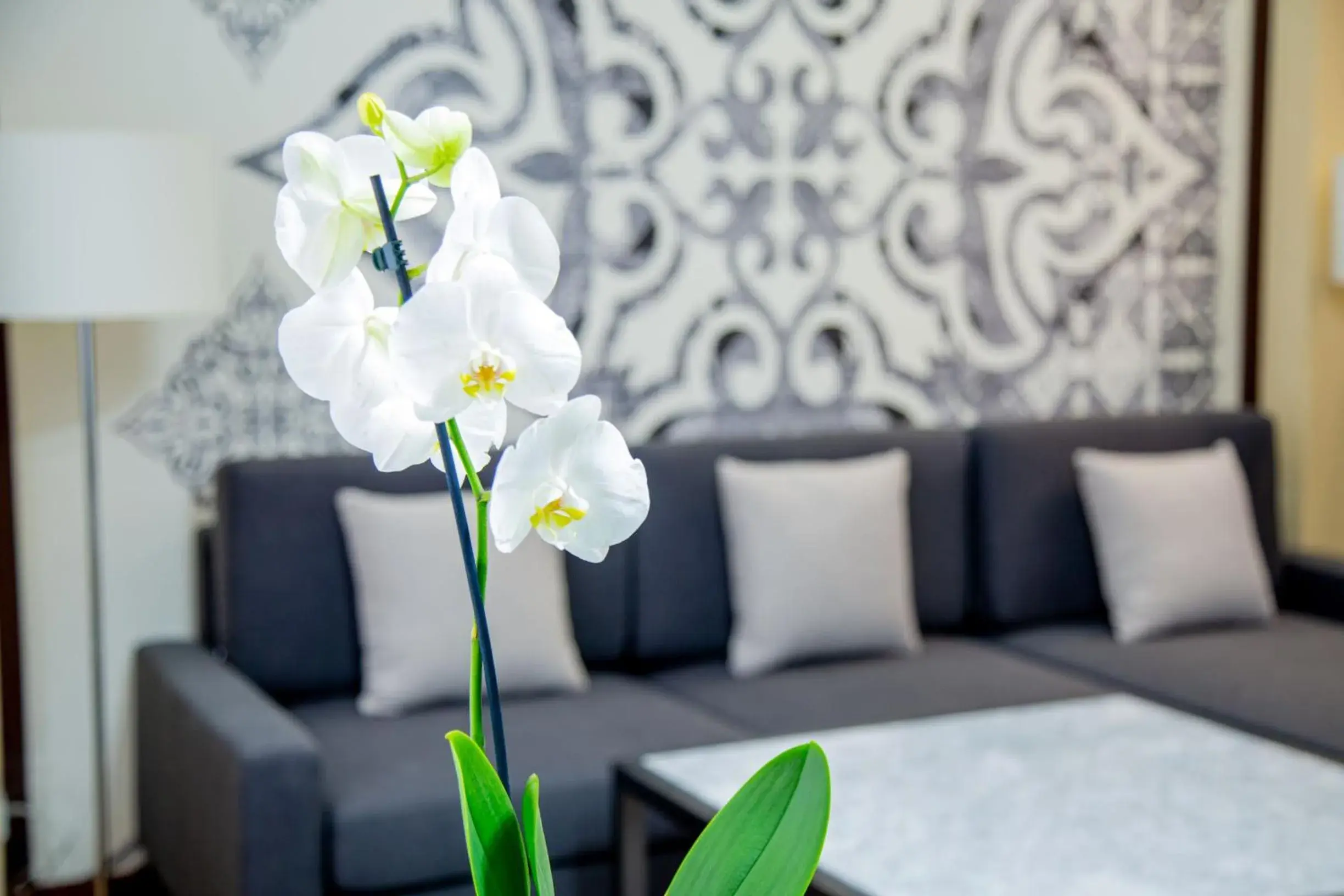 Living room in Kazzhol Park Hotel Almaty Living room in Kazzhol Park Hotel Almaty